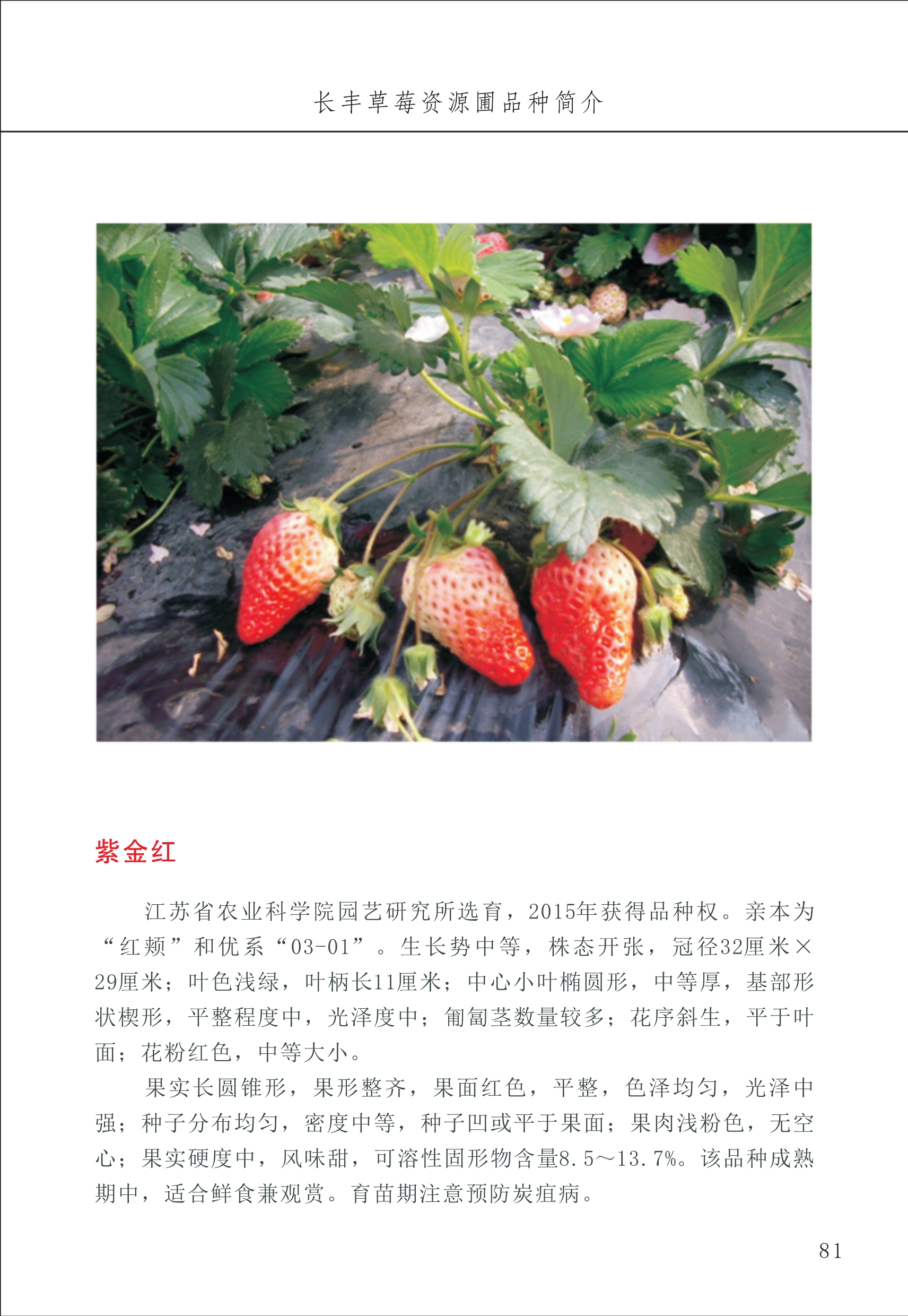 長(cháng)丰农技中心1_85.jpg