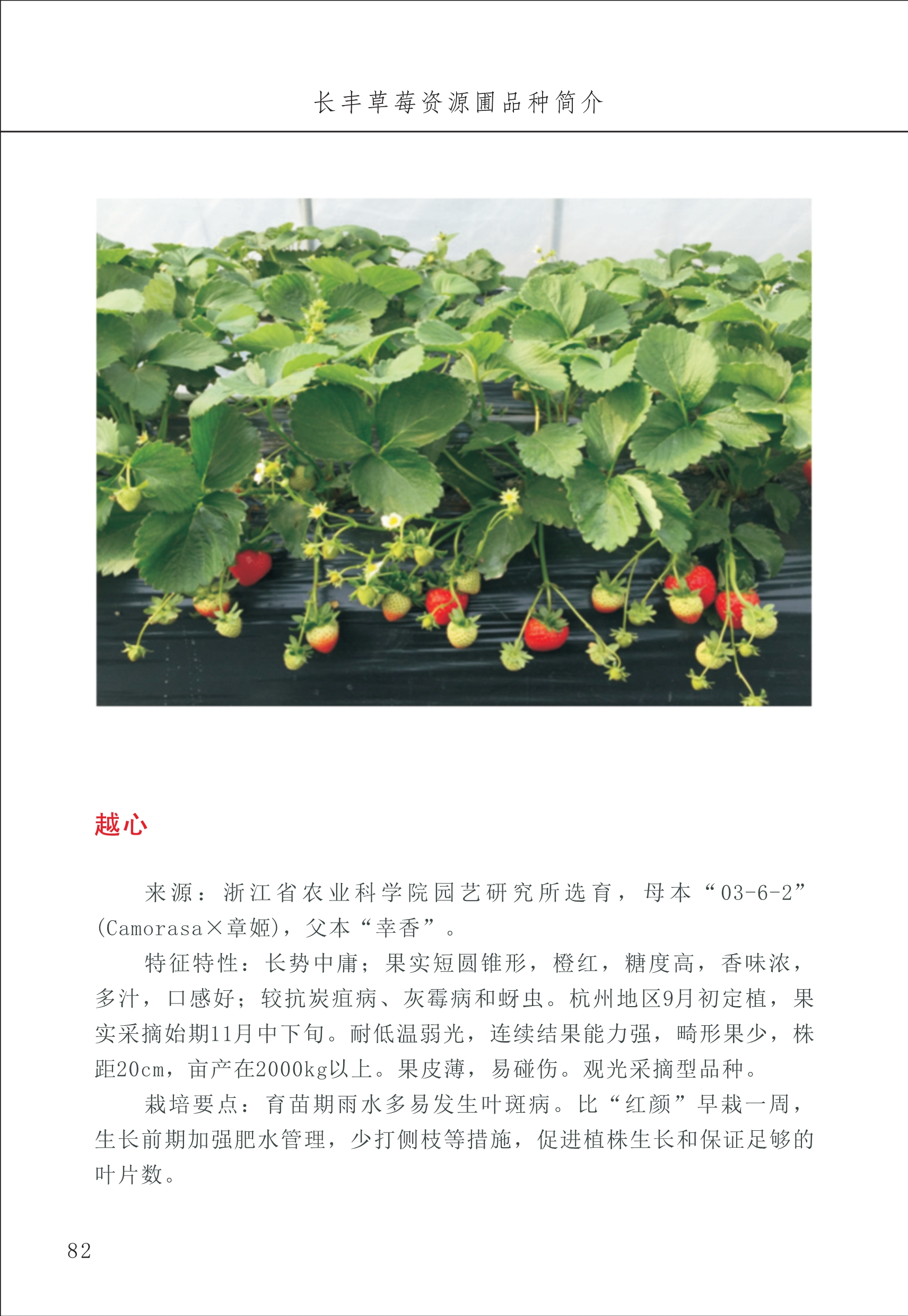 長(cháng)丰农技中心1_86.jpg