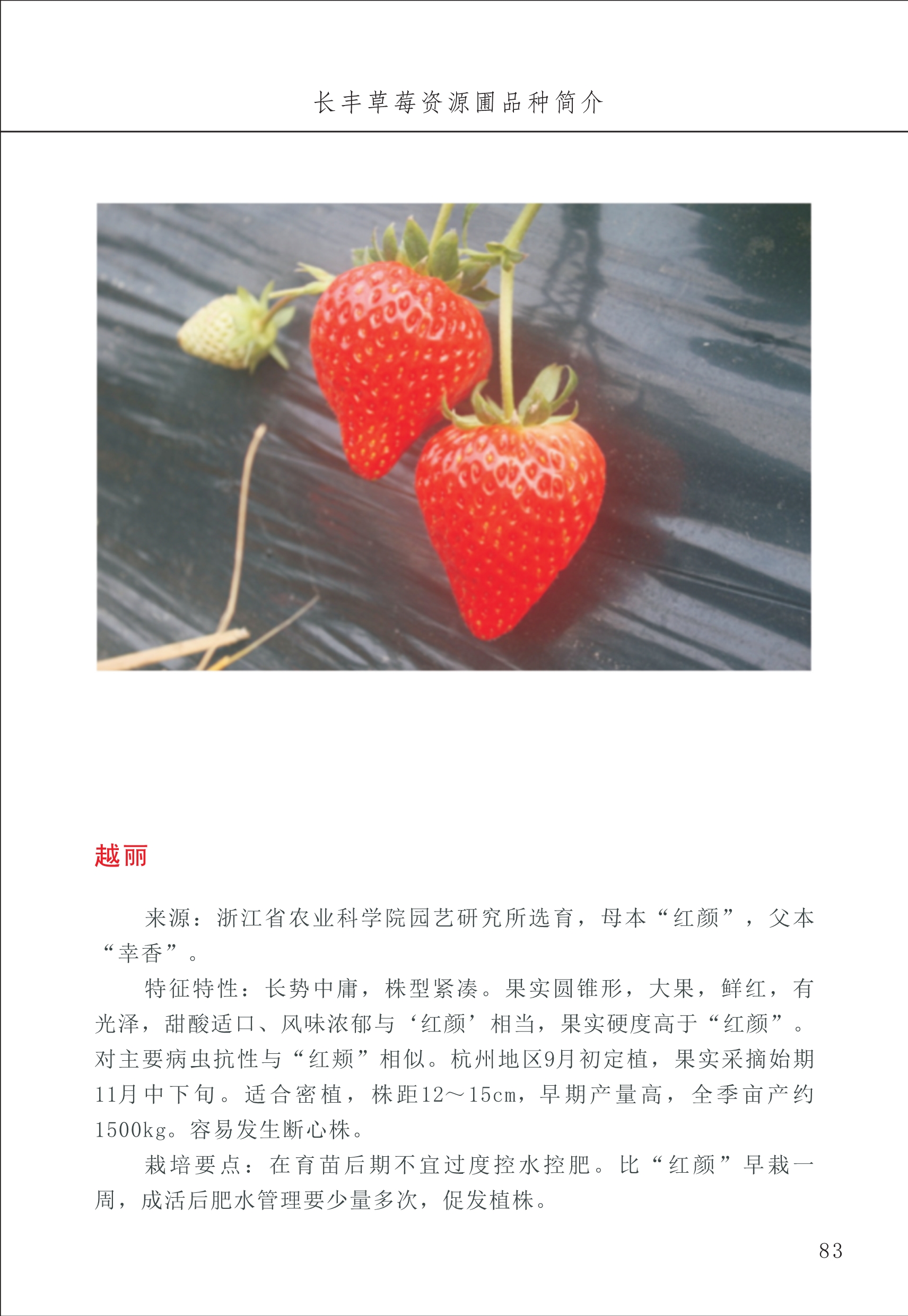 長(cháng)丰农技中心1_87.jpg