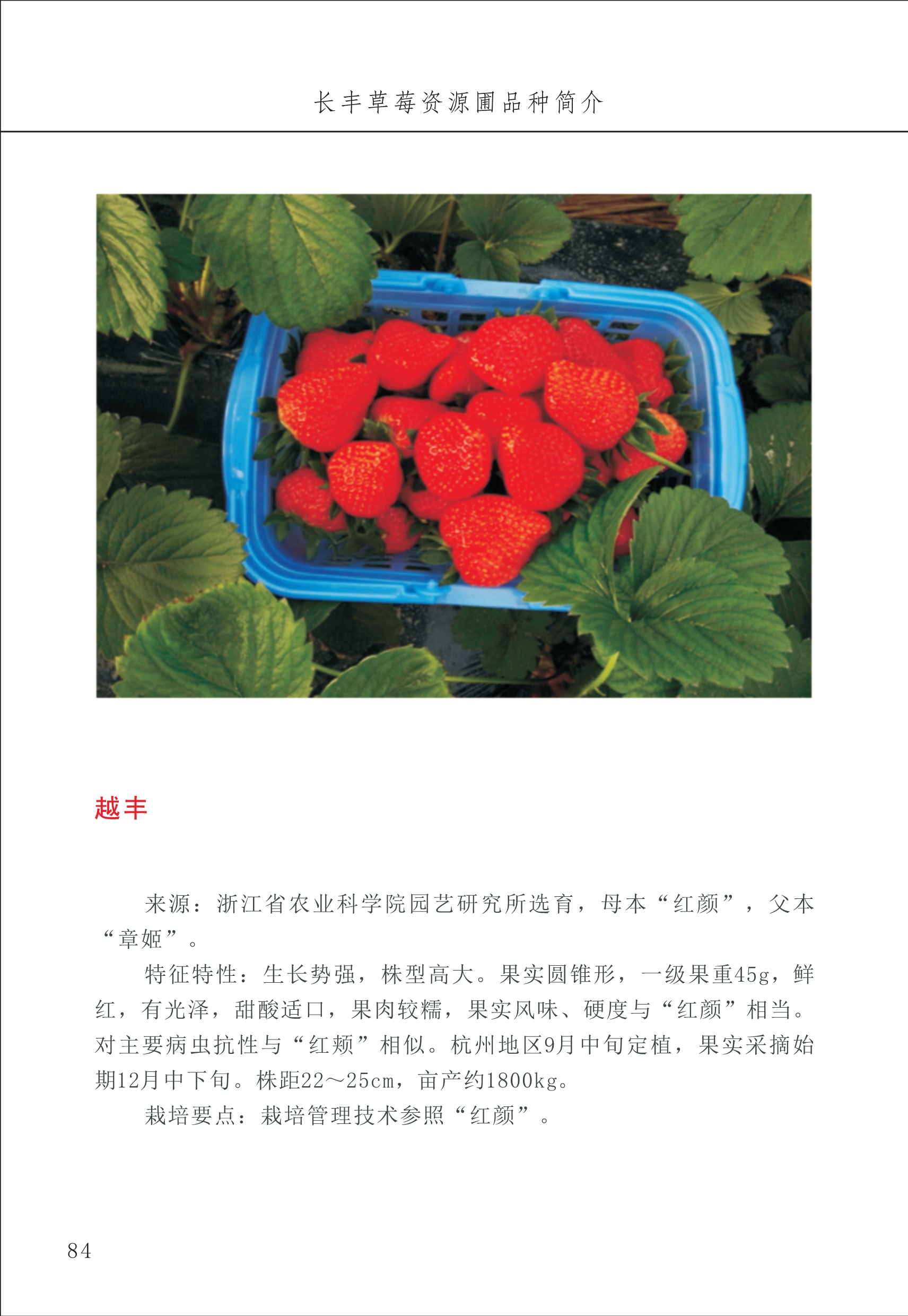 長(cháng)丰农技中心1_88.jpg
