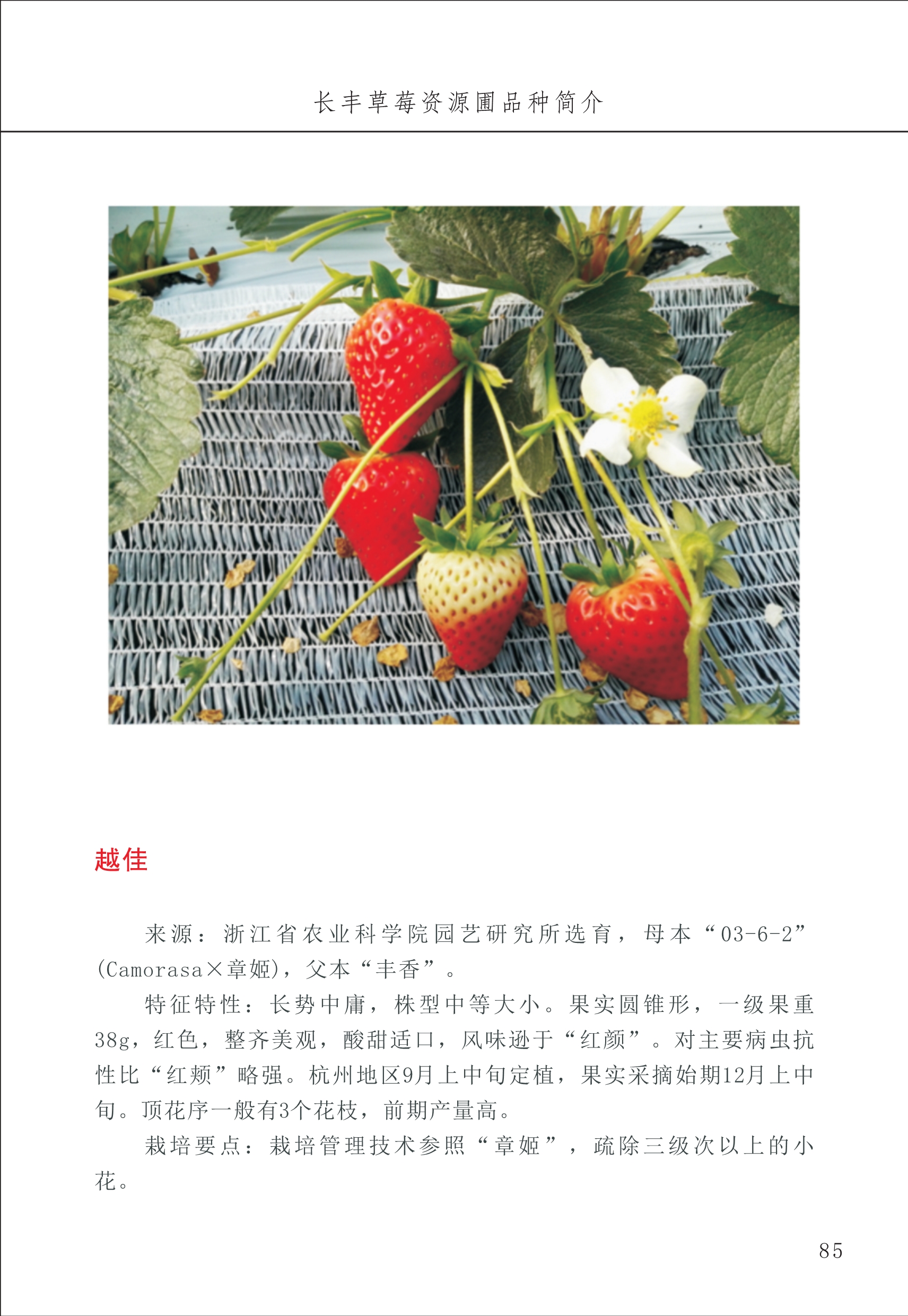 長(cháng)丰农技中心1_89.jpg