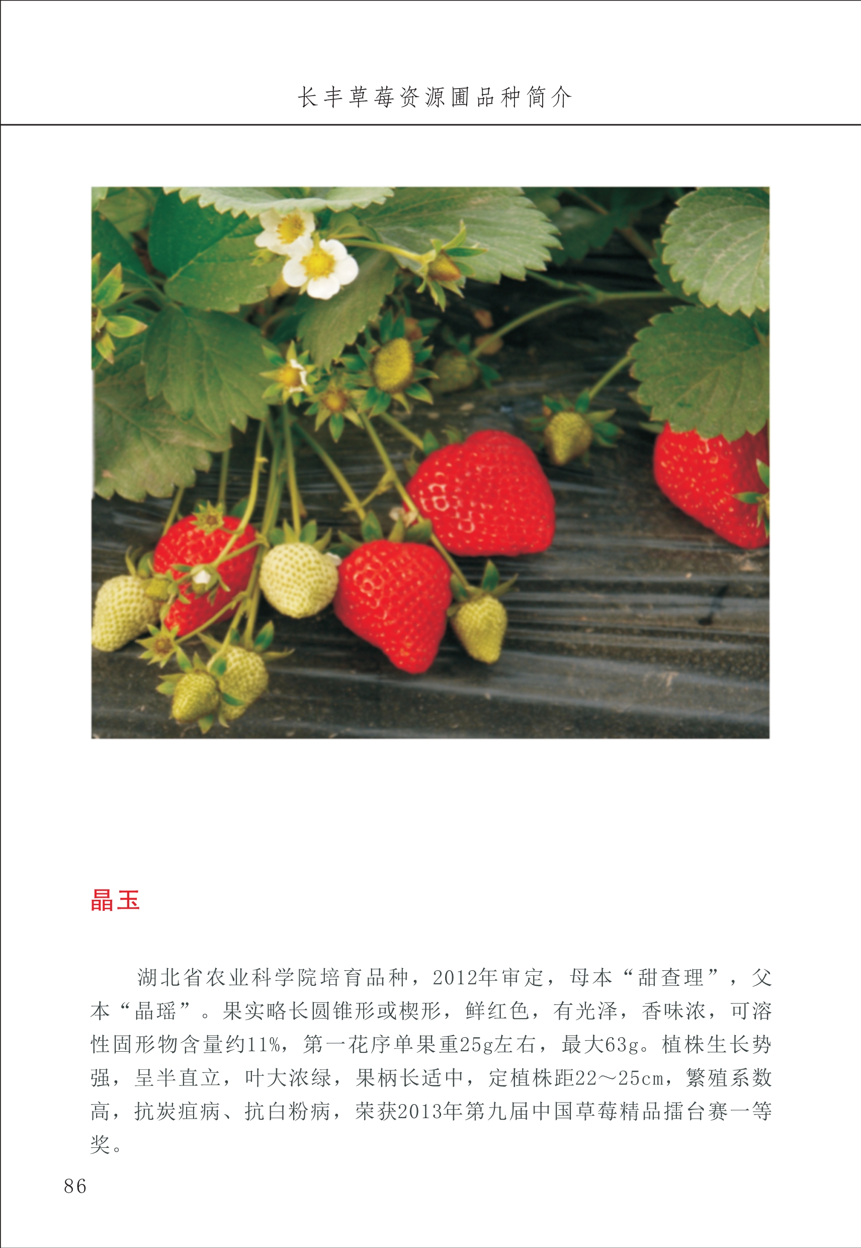 長(cháng)丰农技中心1_90.jpg