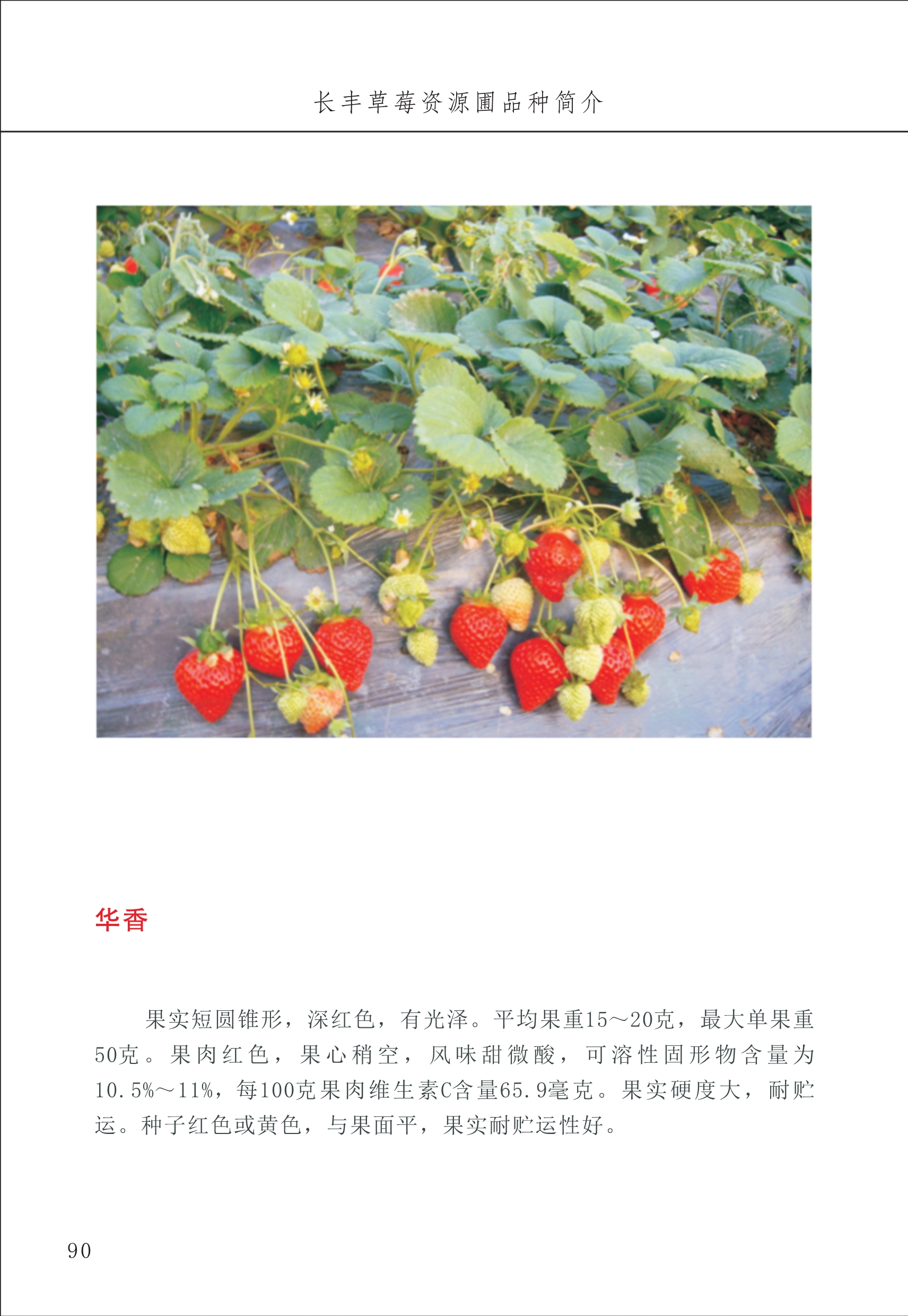 長(cháng)丰农技中心1_94.jpg
