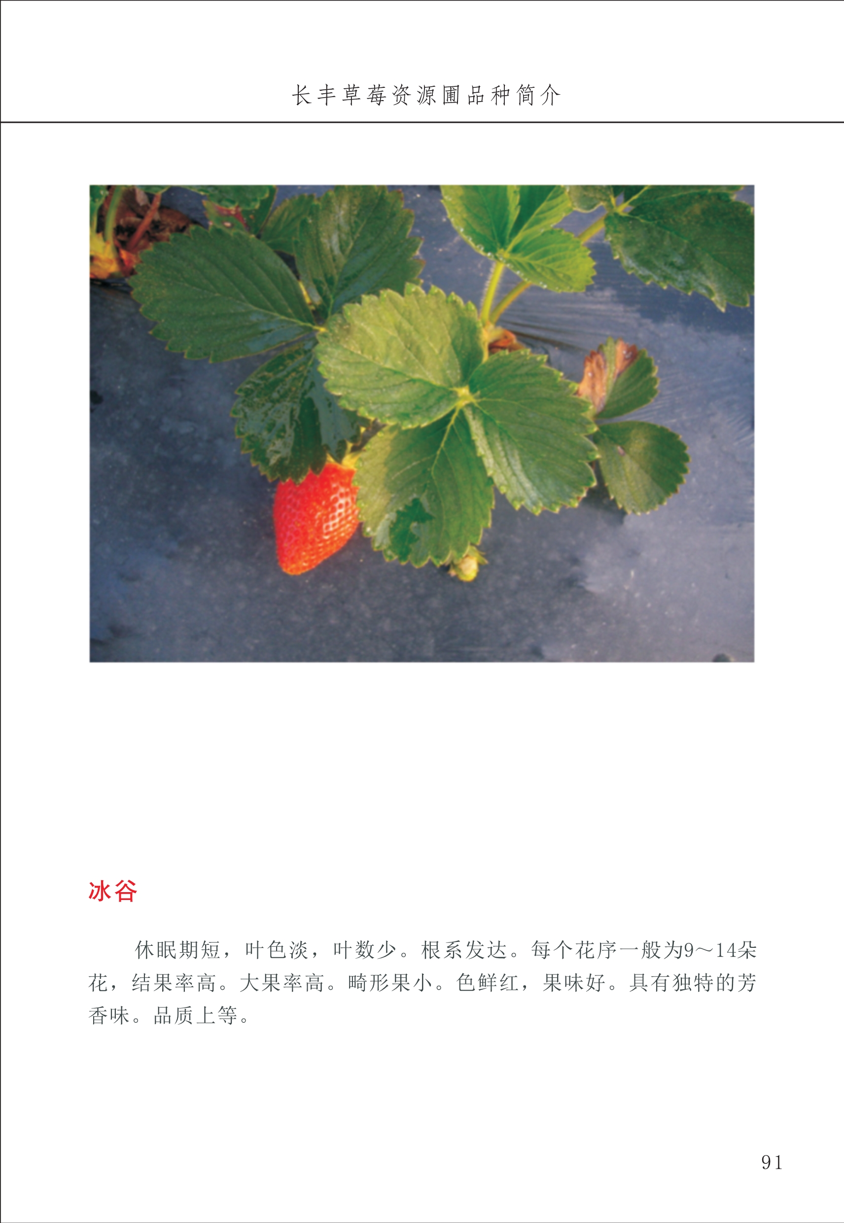 長(cháng)丰农技中心1_95.jpg