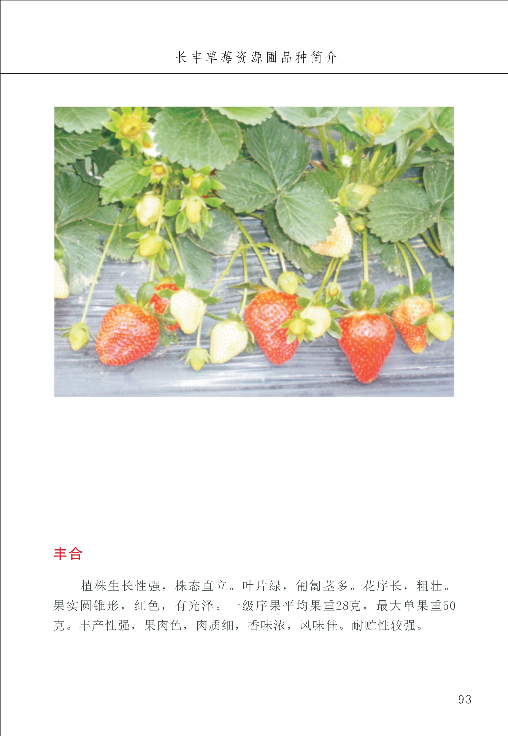 長(cháng)丰农技中心1_97.jpg