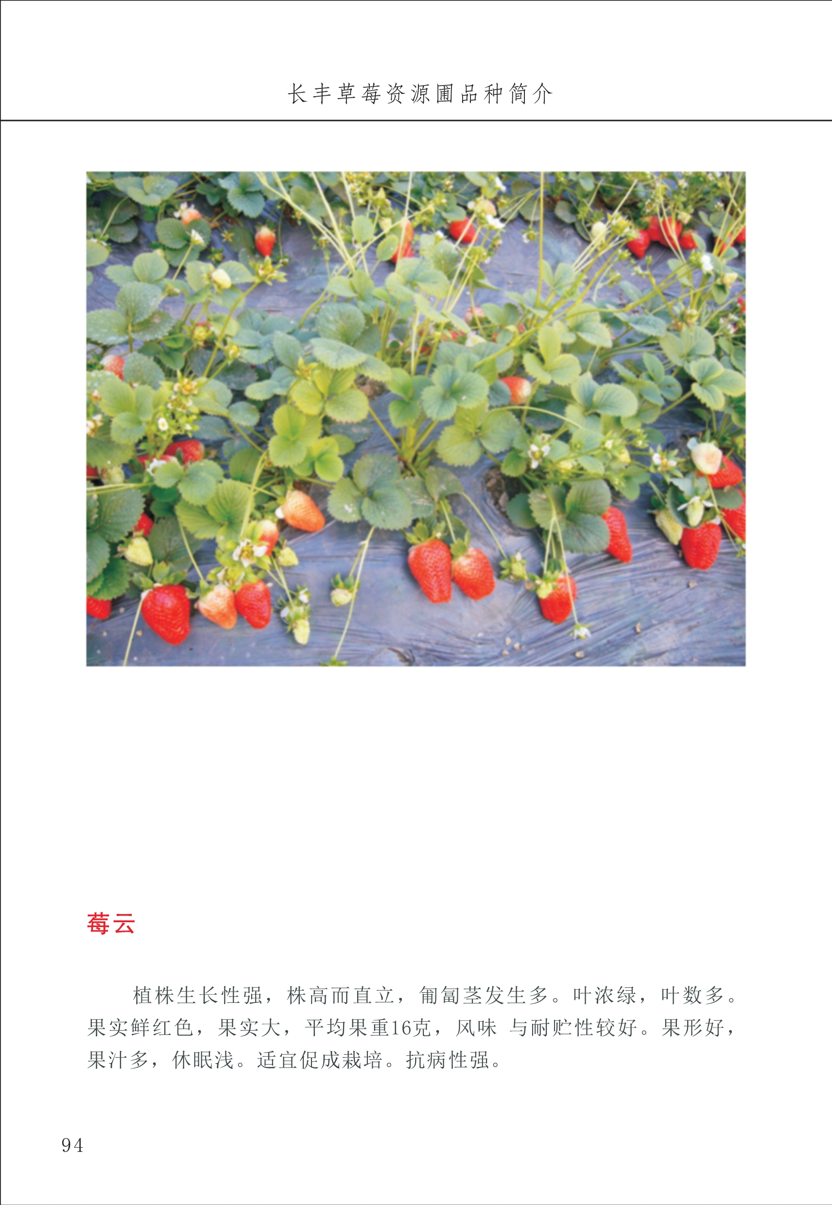 長(cháng)丰农技中心1_98.jpg