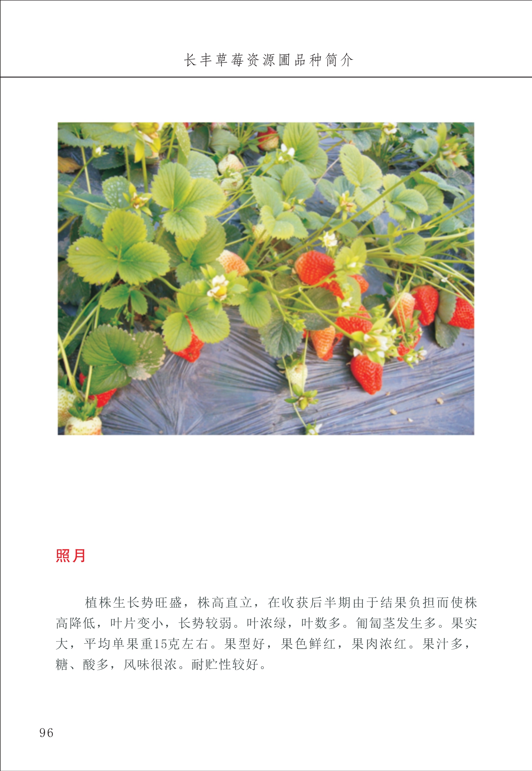 長(cháng)丰农技中心1_100.jpg