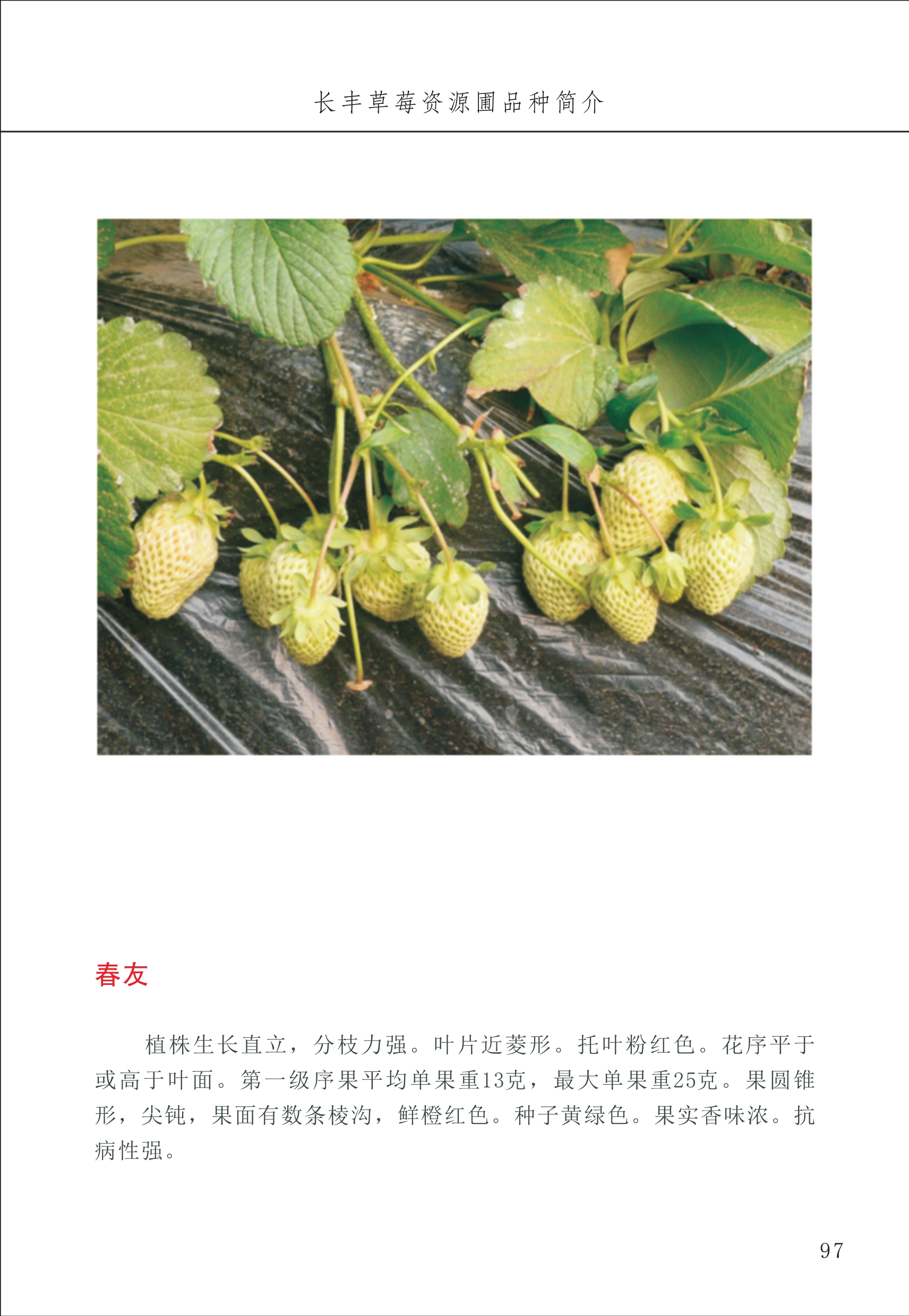 長(cháng)丰农技中心1_101.jpg