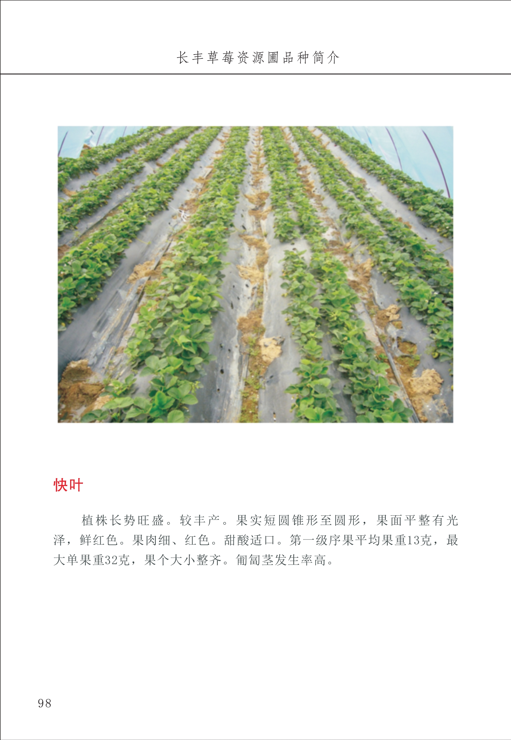 長(cháng)丰农技中心1_102.jpg