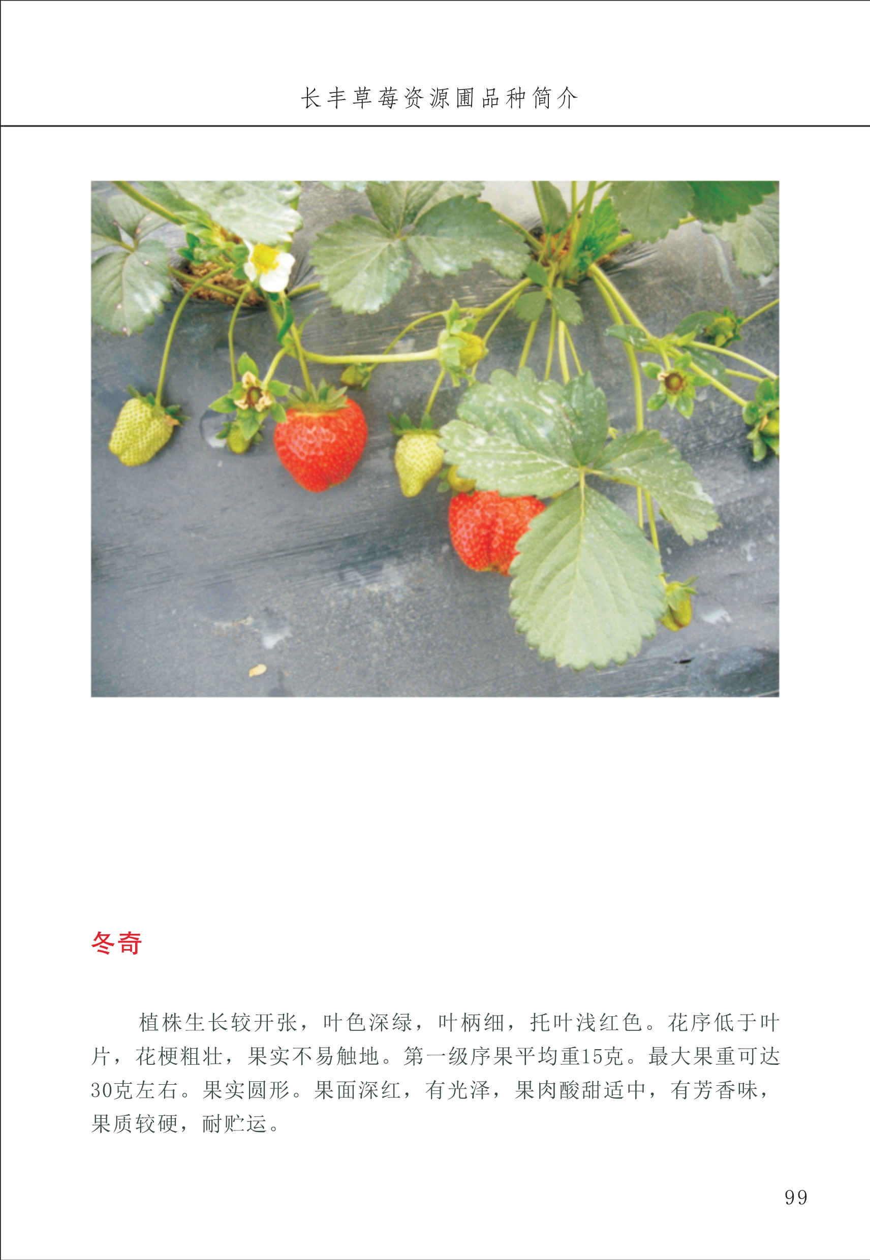 長(cháng)丰农技中心1_103.jpg