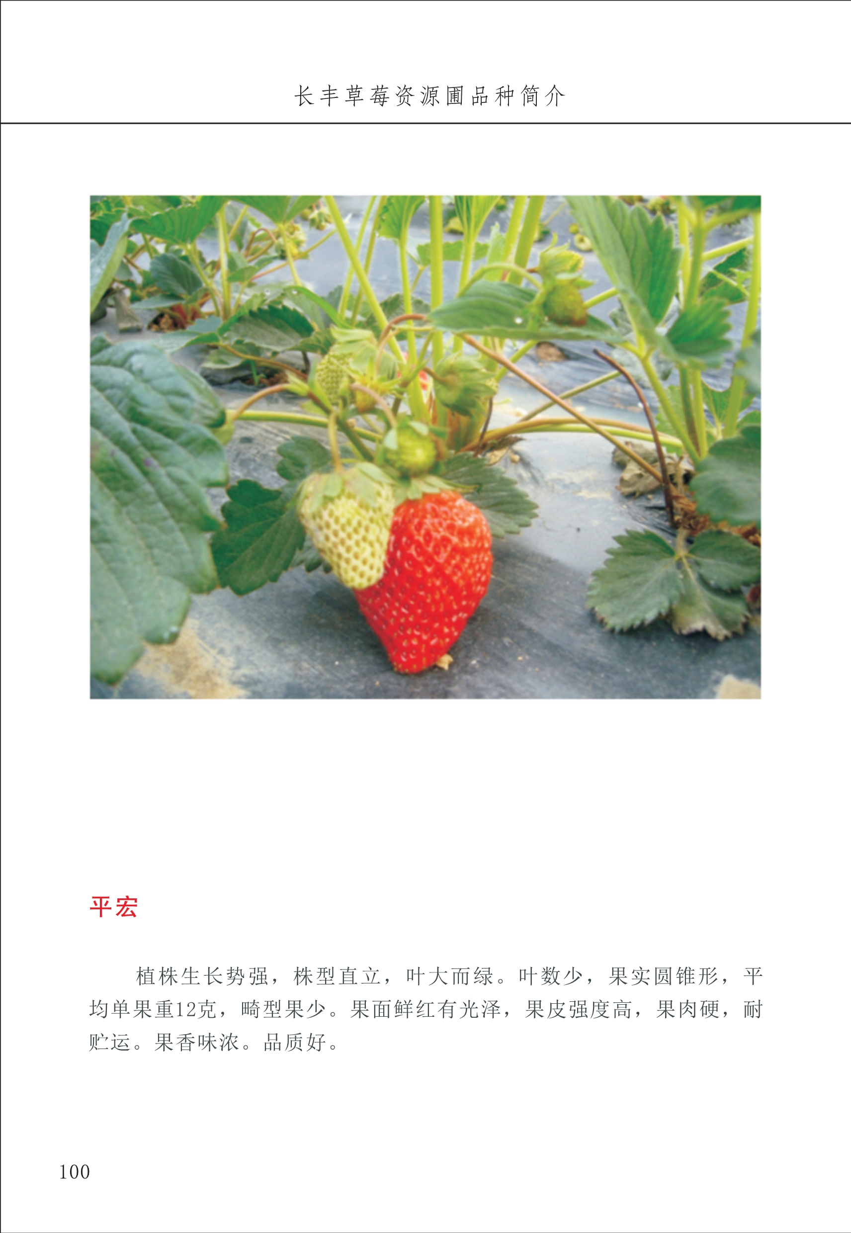長(cháng)丰农技中心1_104.jpg