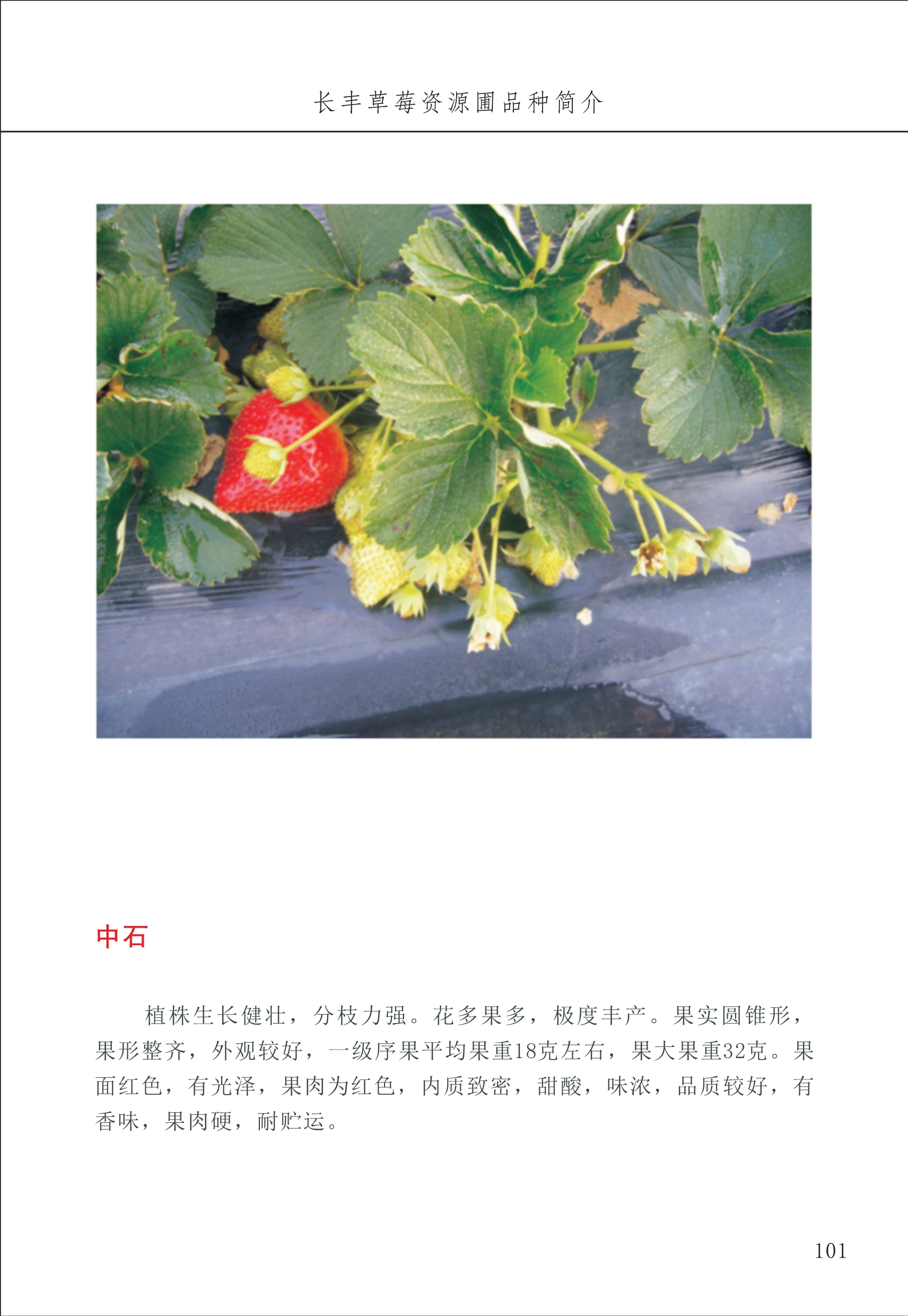 長(cháng)丰农技中心2_1.jpg