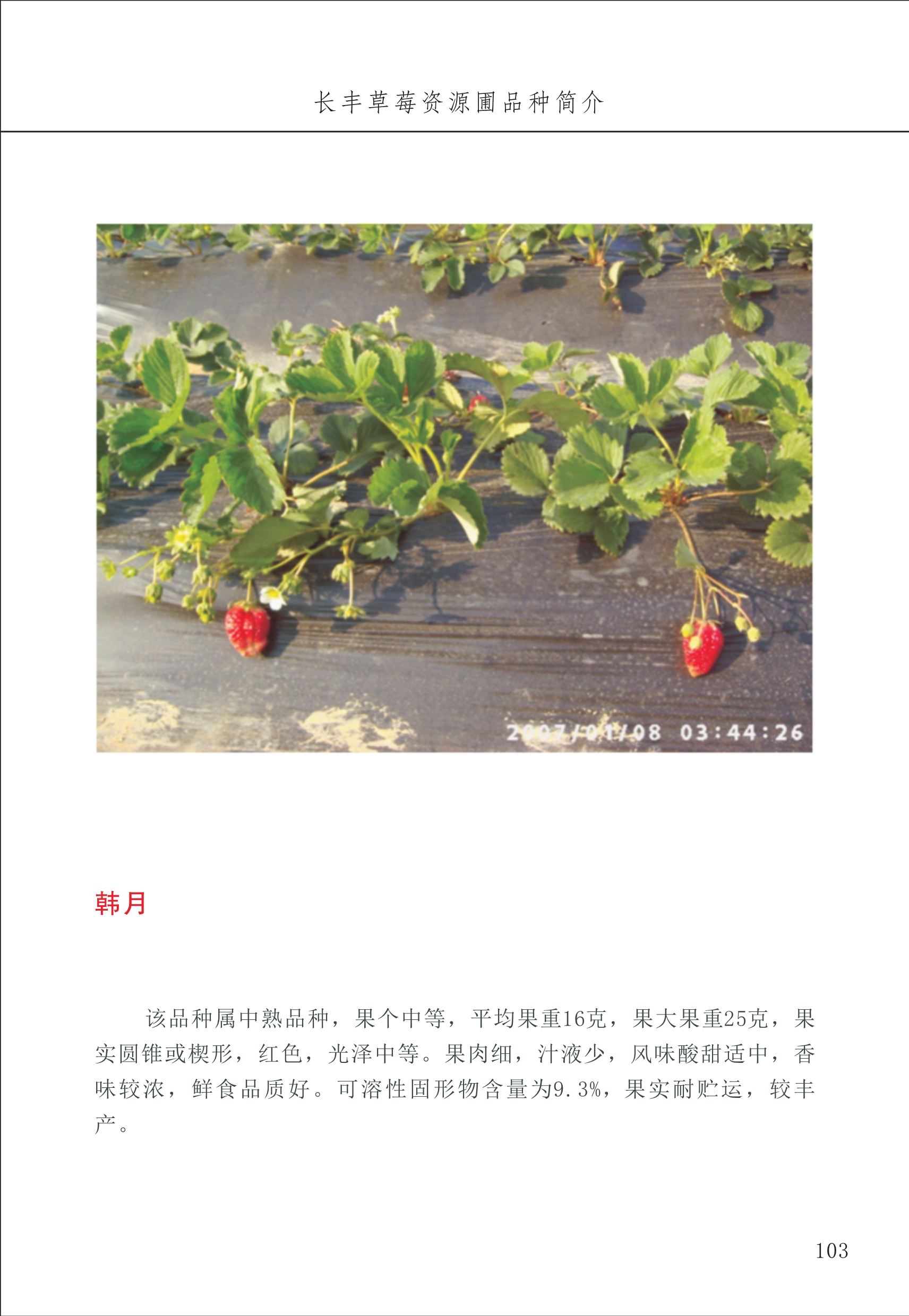 長(cháng)丰农技中心2_3.jpg