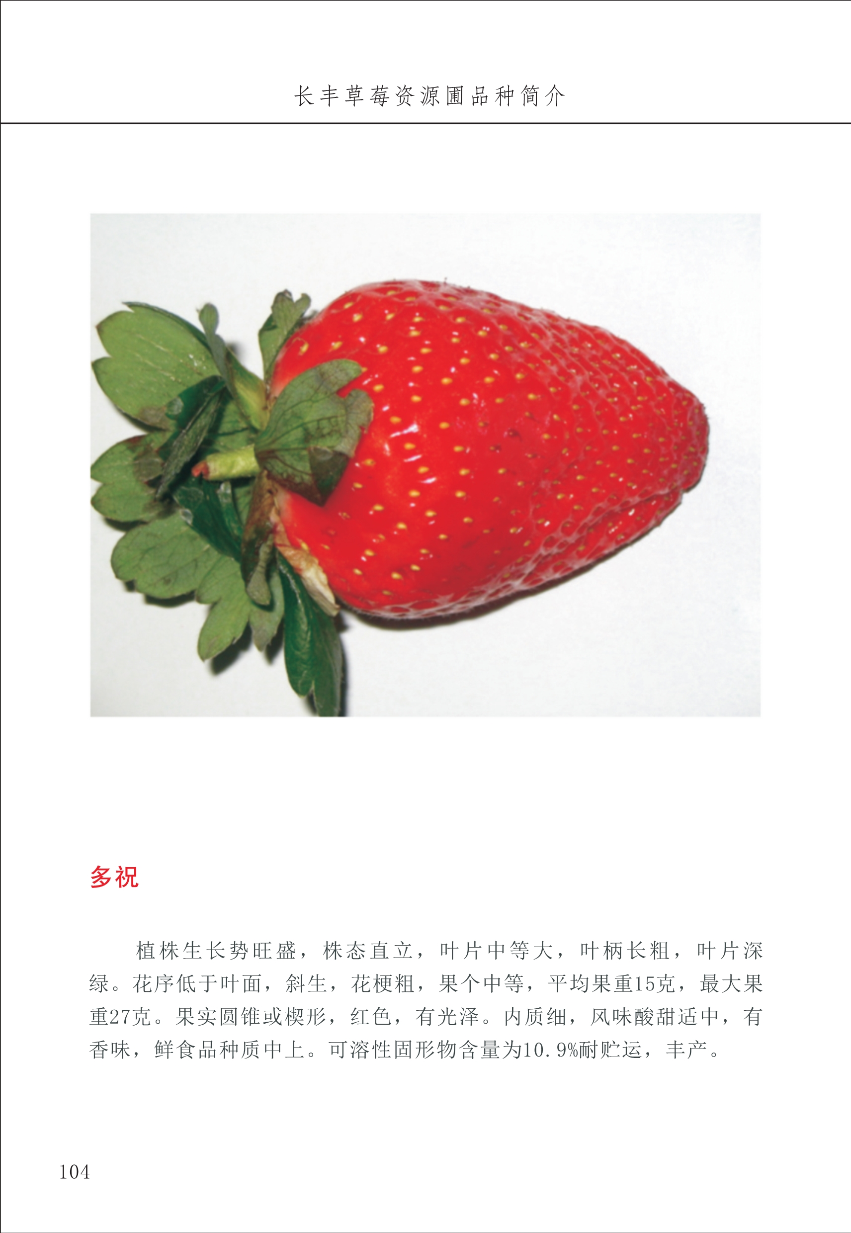 長(cháng)丰农技中心2_4.jpg