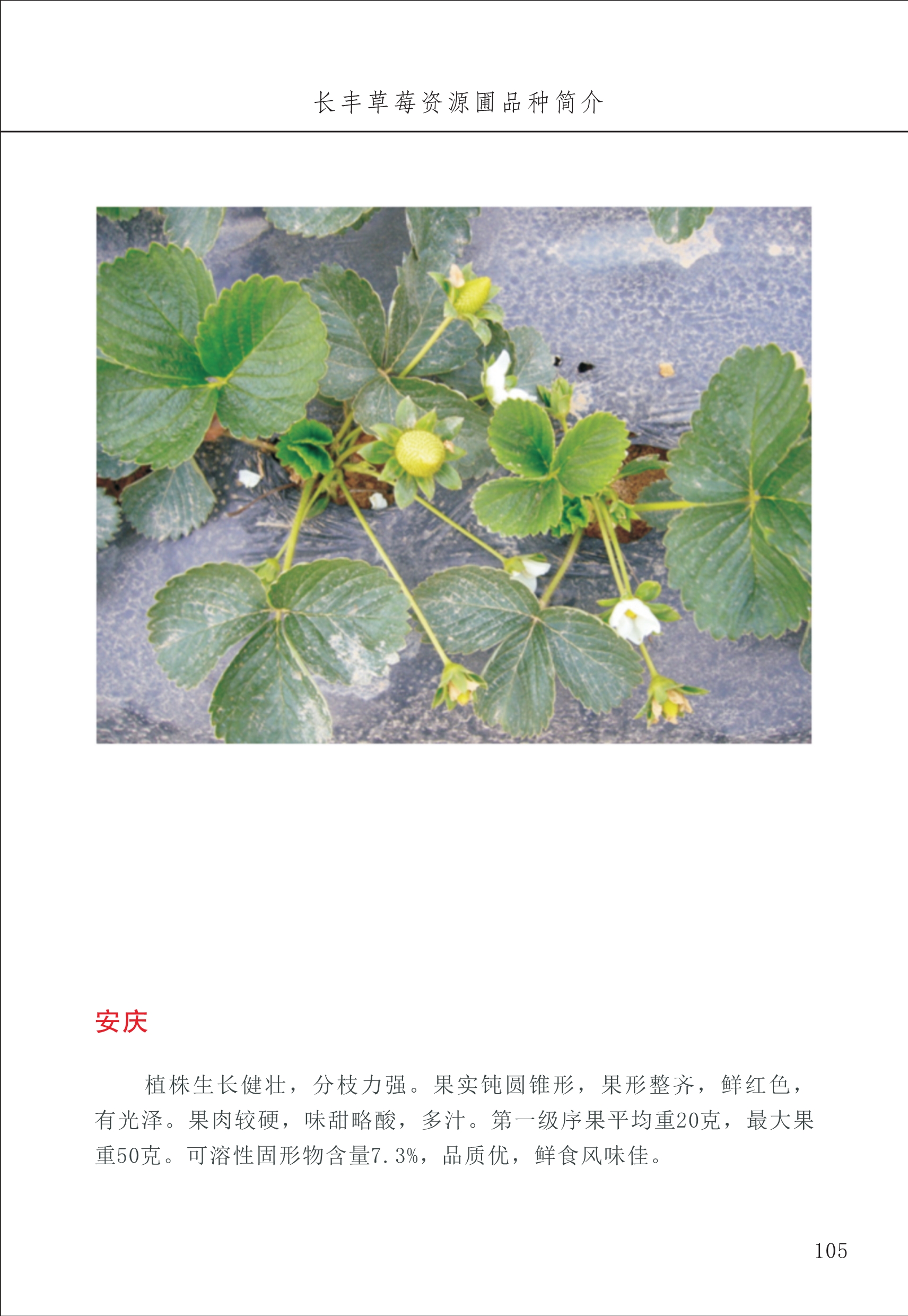 長(cháng)丰农技中心2_5.jpg