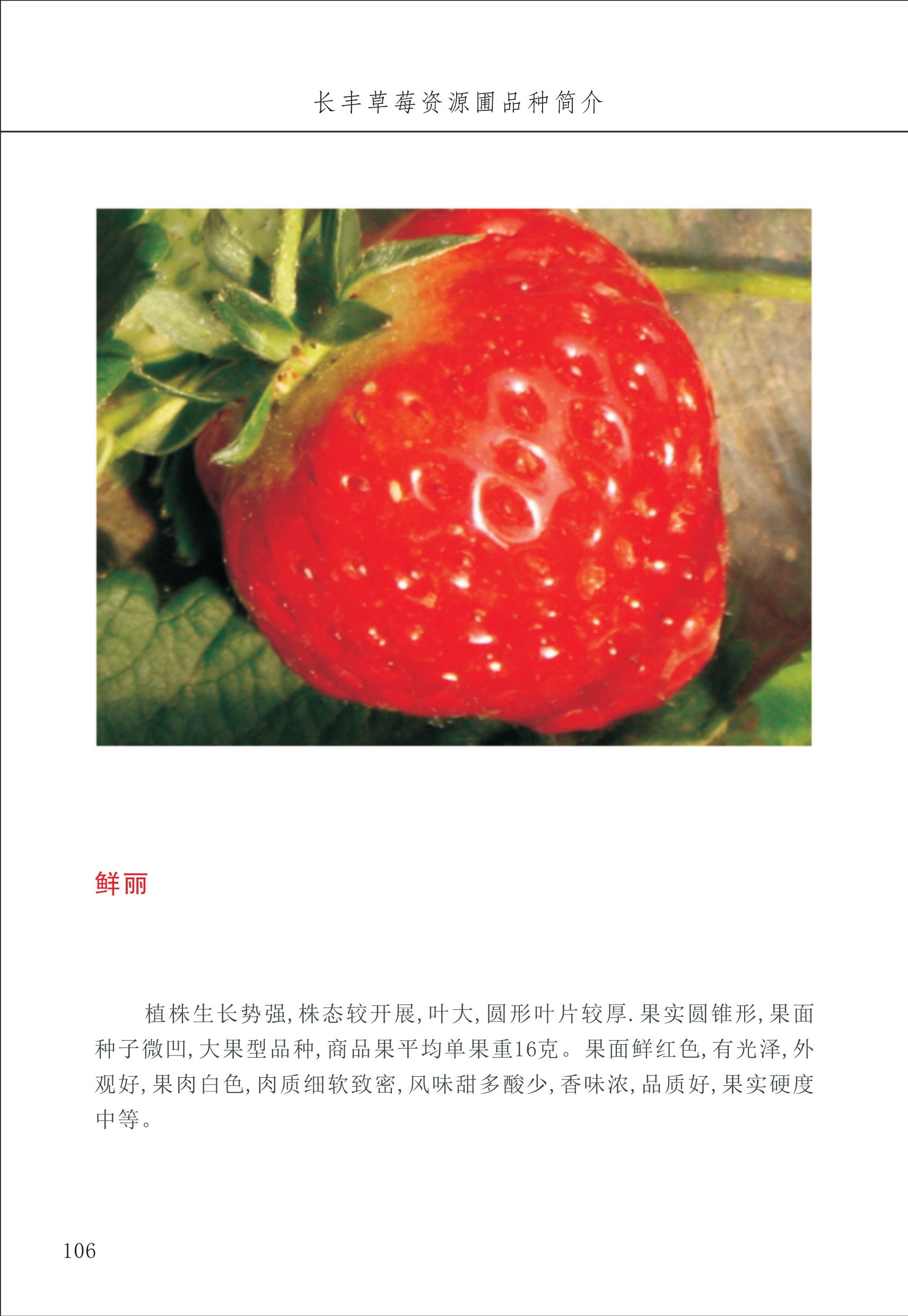 長(cháng)丰农技中心2_6.jpg