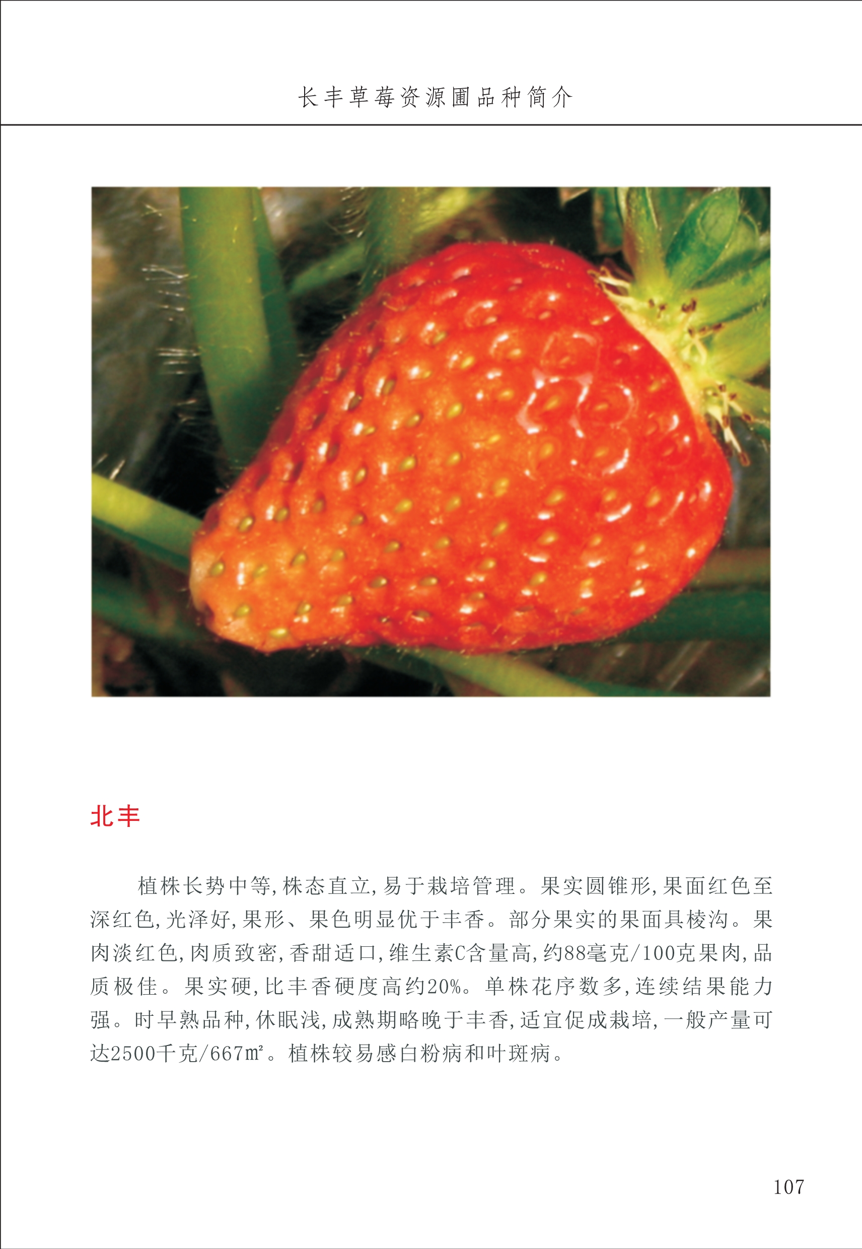 長(cháng)丰农技中心2_7.jpg