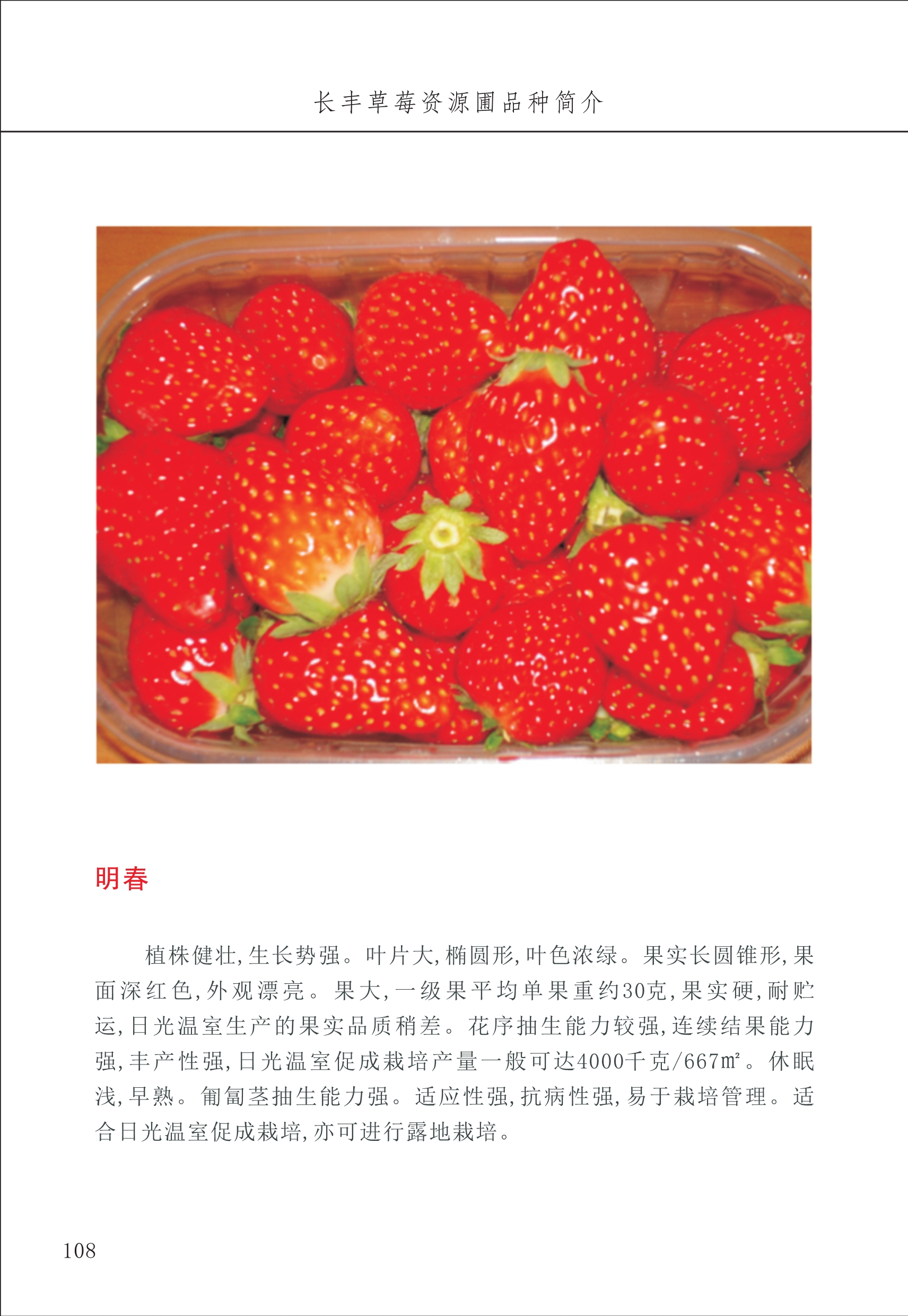 長(cháng)丰农技中心2_8.jpg