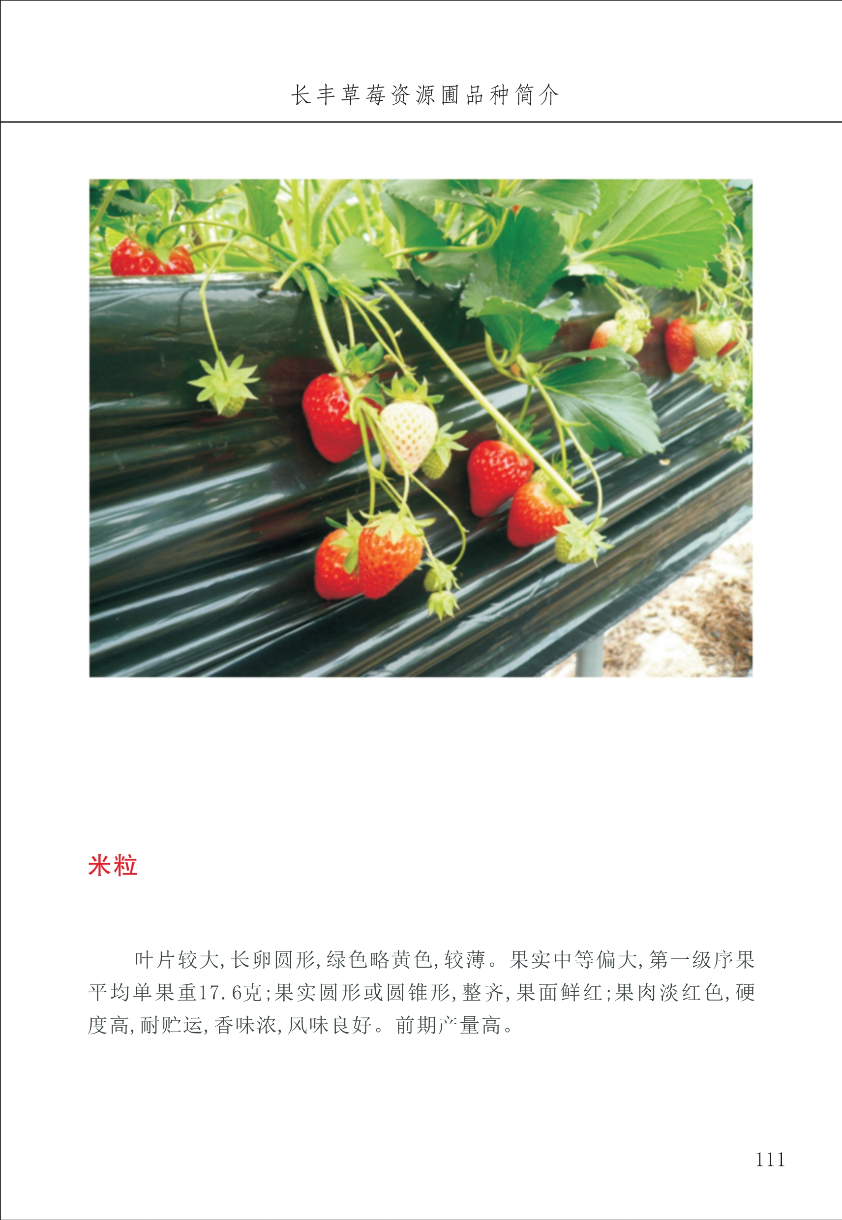 長(cháng)丰农技中心2_11.jpg