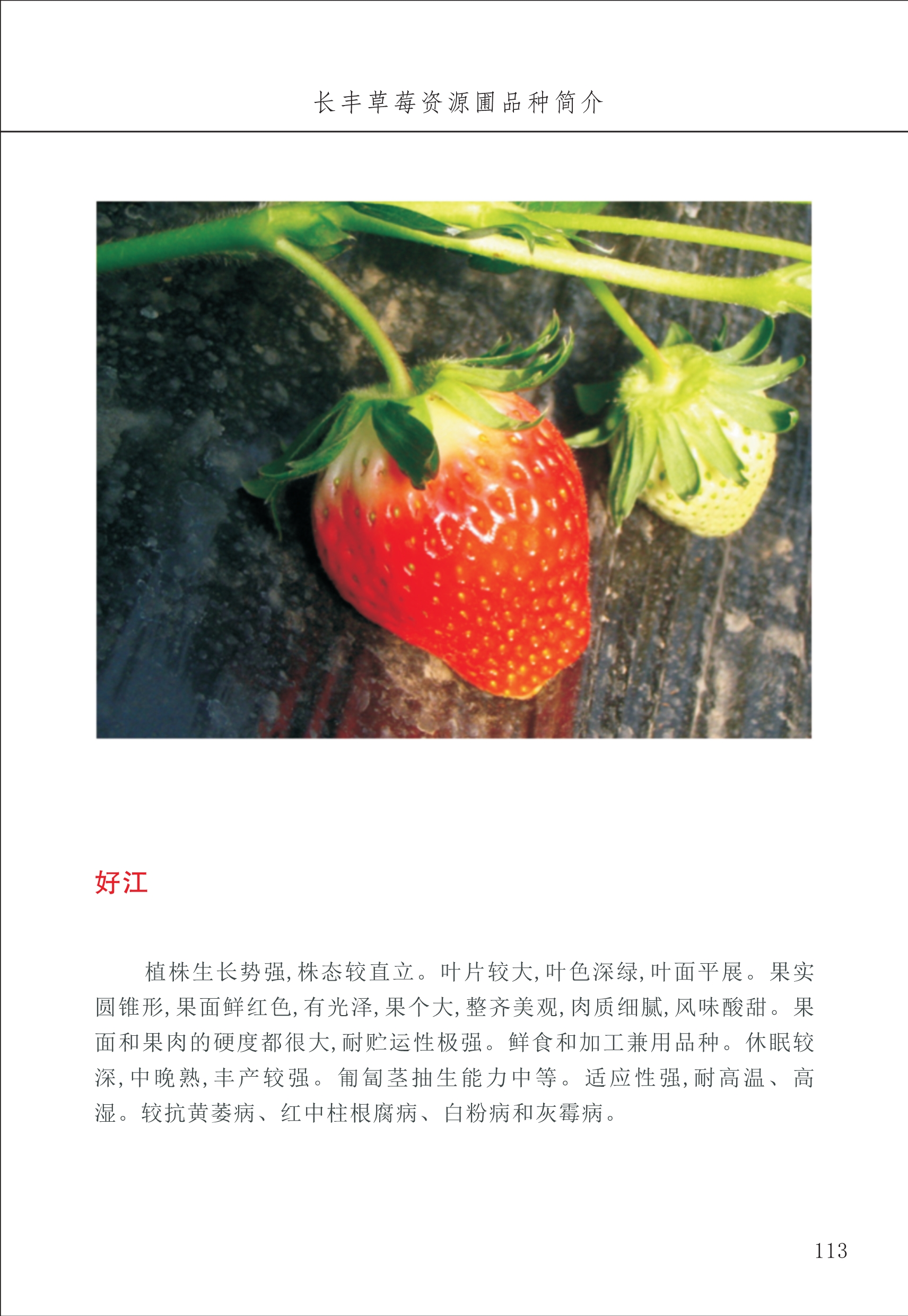 長(cháng)丰农技中心2_13.jpg