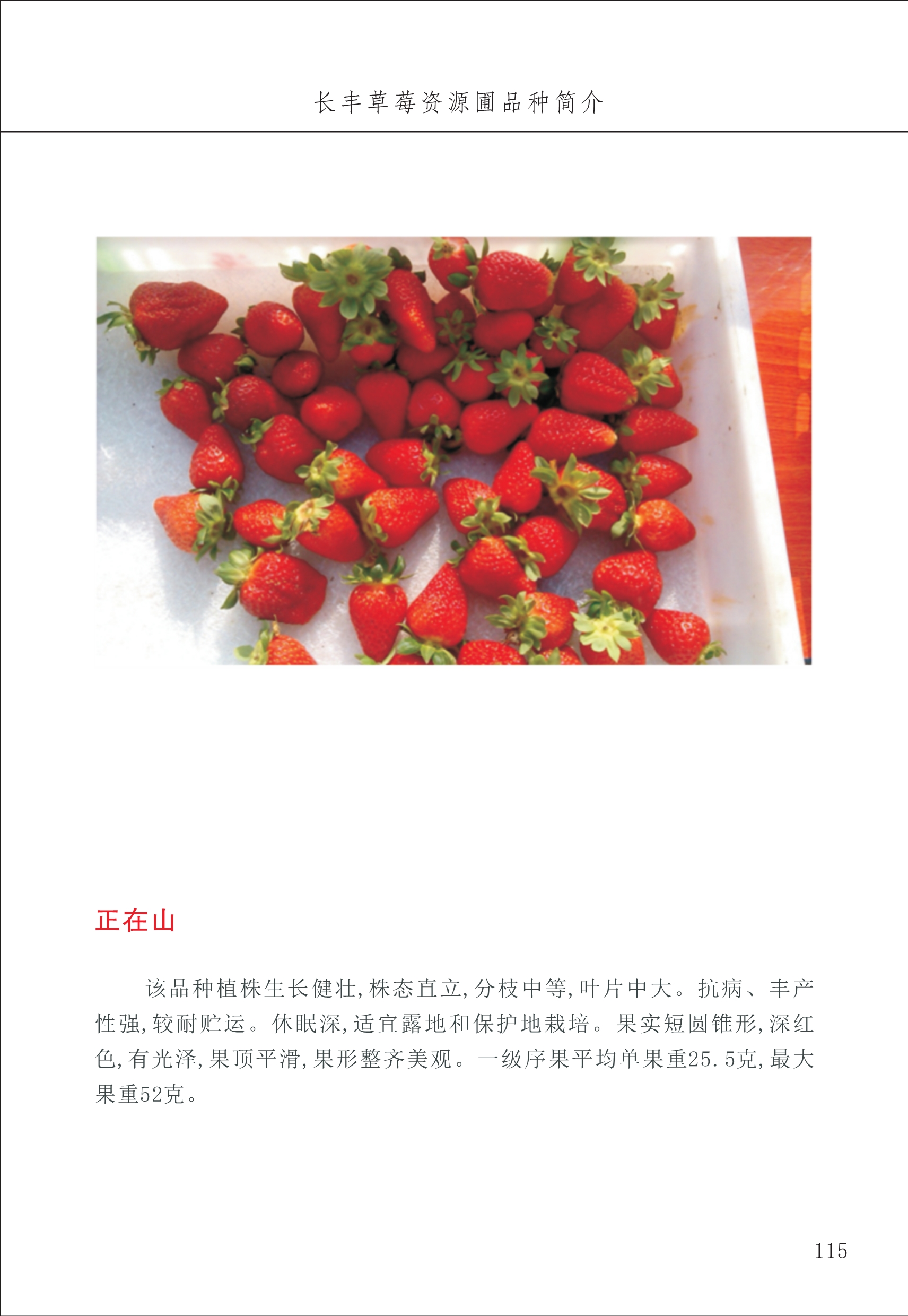長(cháng)丰农技中心2_15.jpg