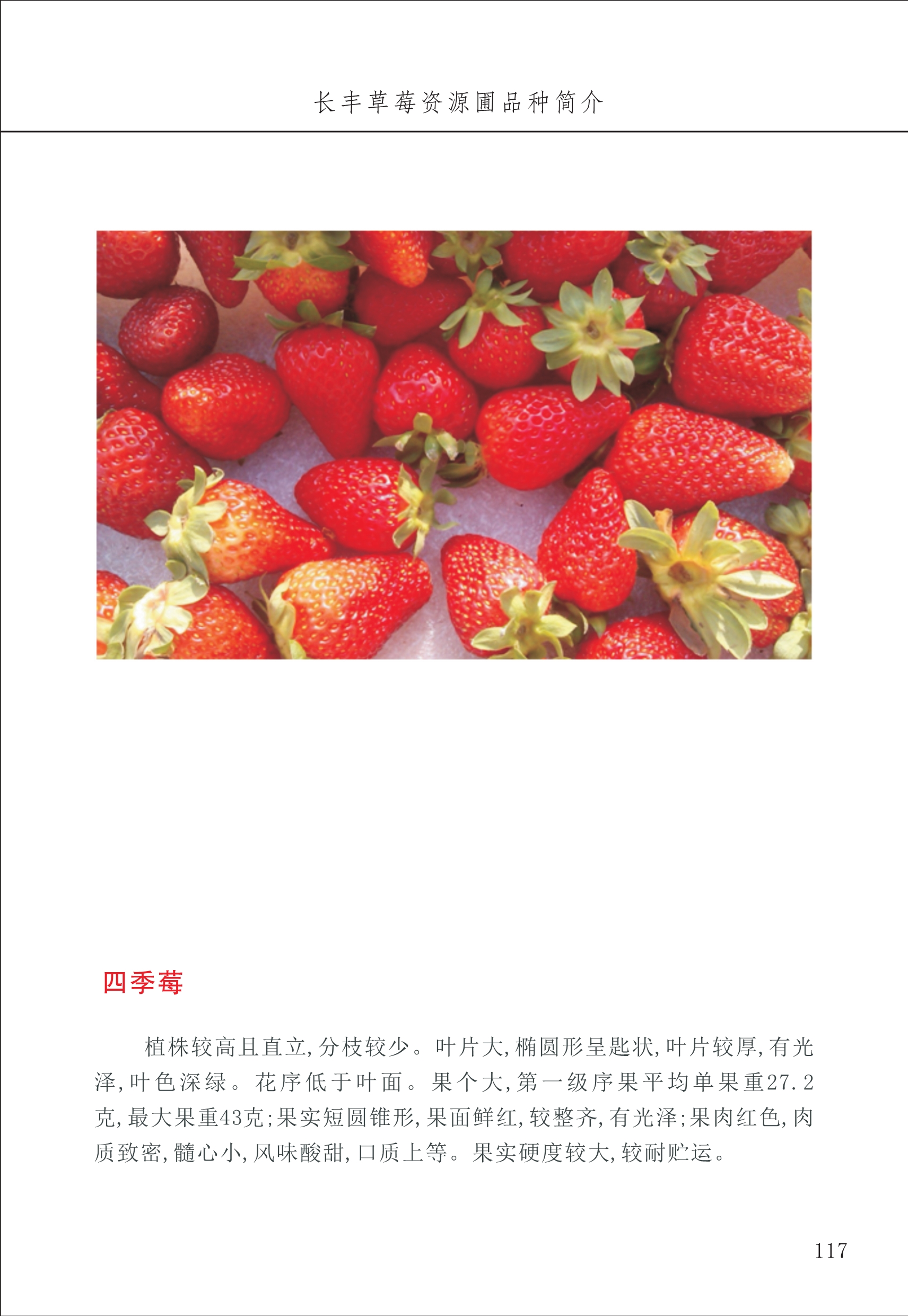 長(cháng)丰农技中心2_17.jpg