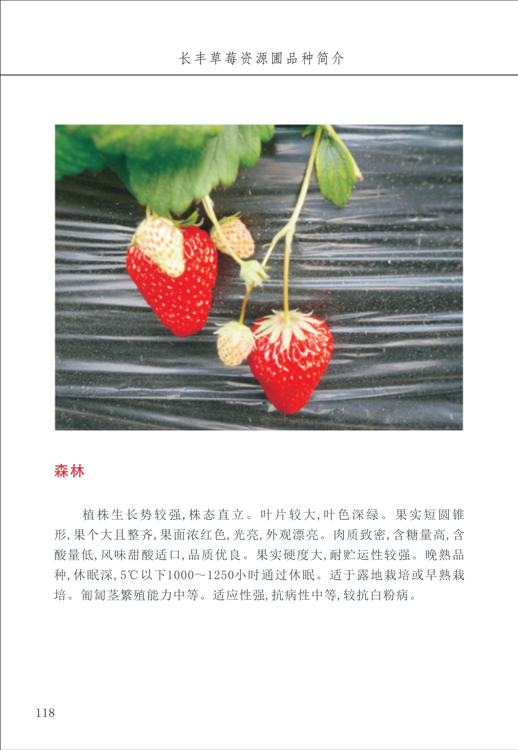 長(cháng)丰农技中心2_18.jpg