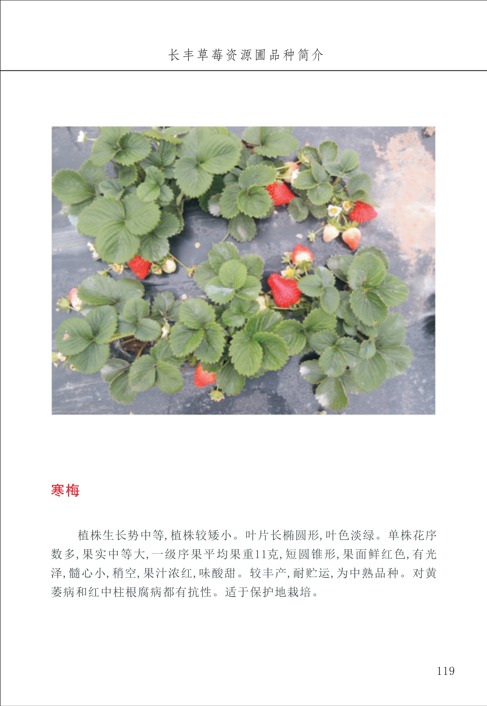 長(cháng)丰农技中心2_19.jpg