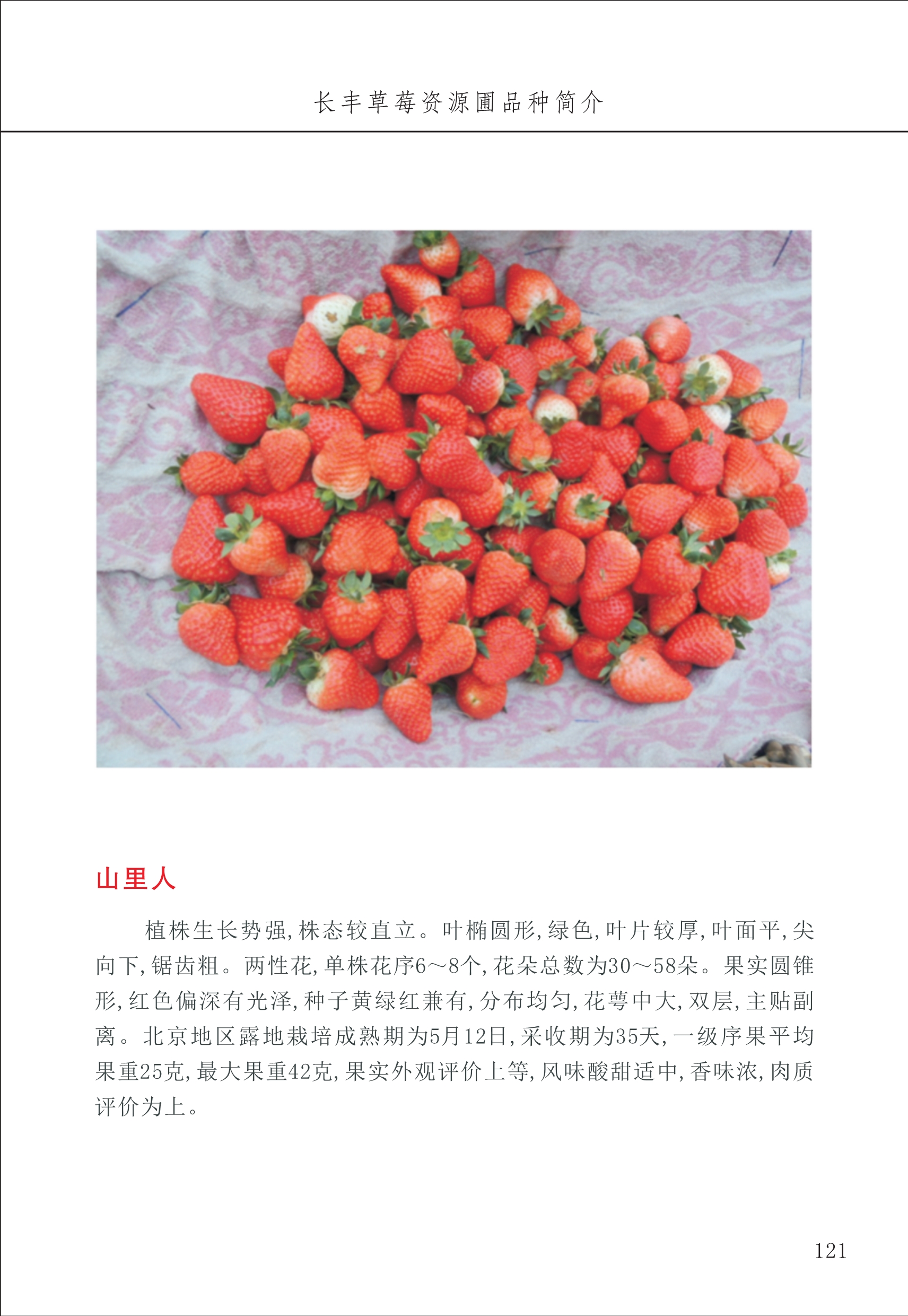 長(cháng)丰农技中心2_21.jpg