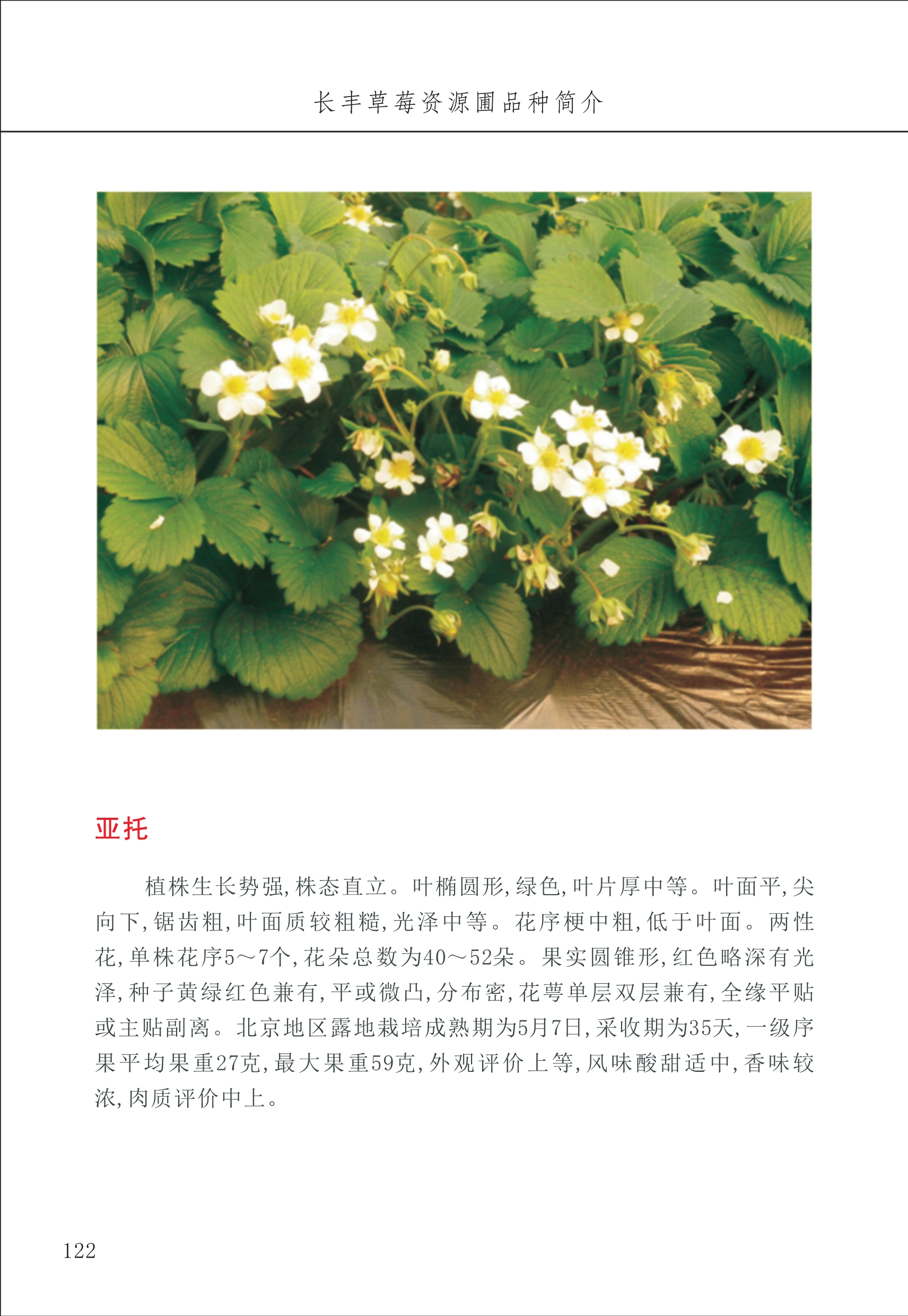長(cháng)丰农技中心2_22.jpg
