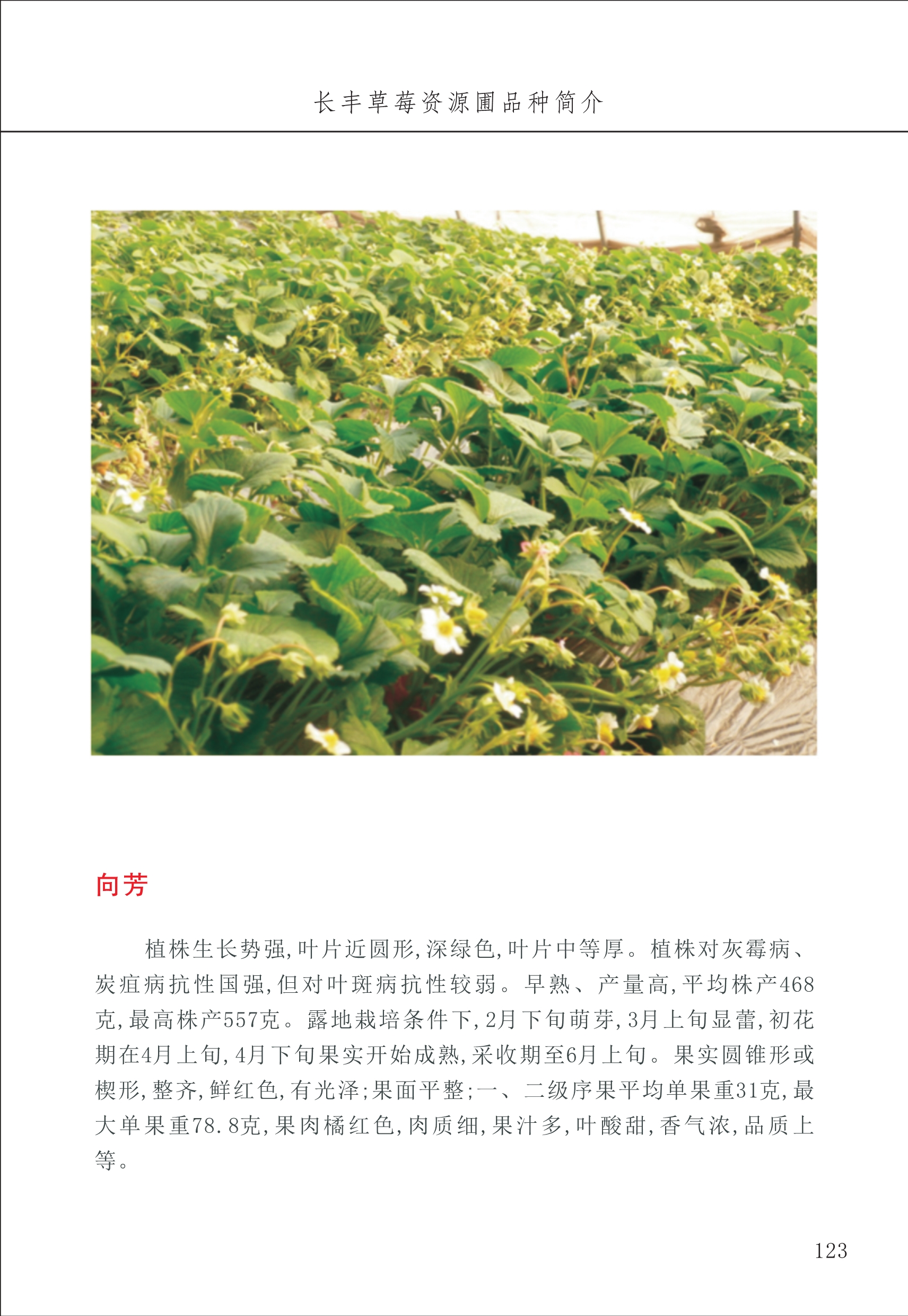 長(cháng)丰农技中心2_23.jpg