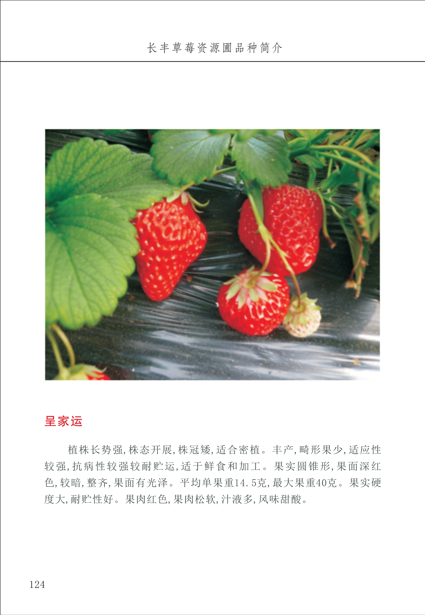 長(cháng)丰农技中心2_24.jpg