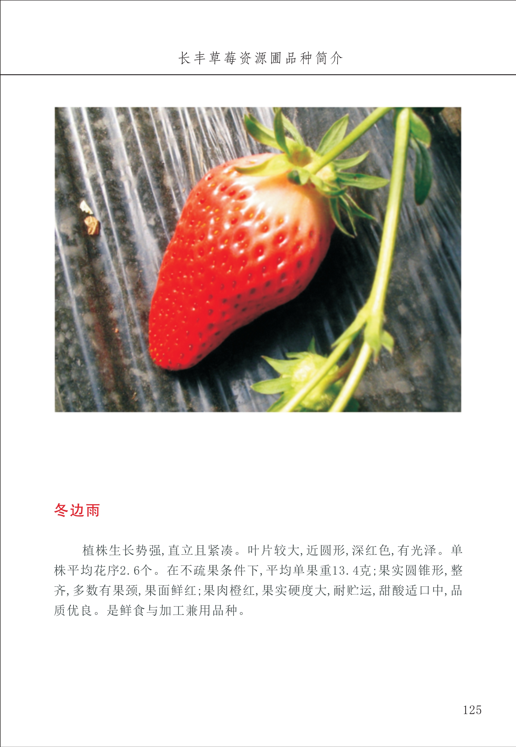 長(cháng)丰农技中心2_25.jpg