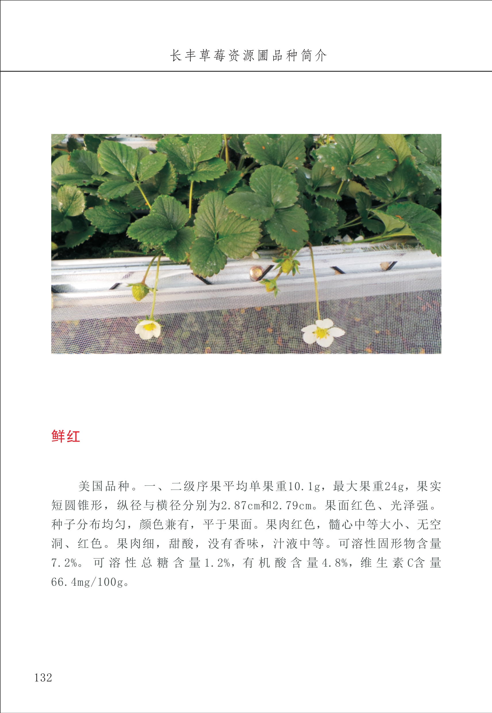 長(cháng)丰农技中心2_32.jpg