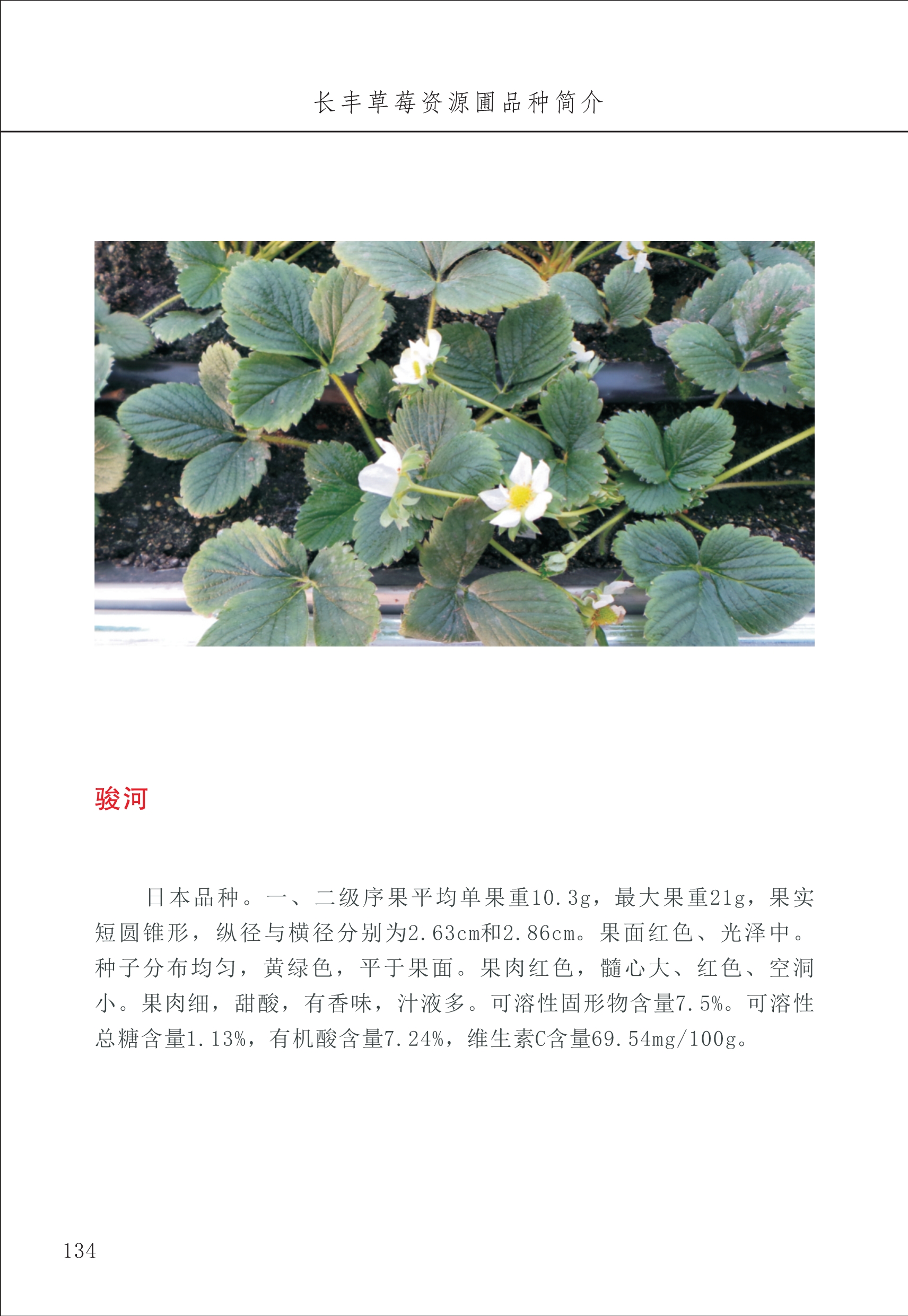 長(cháng)丰农技中心2_34.jpg