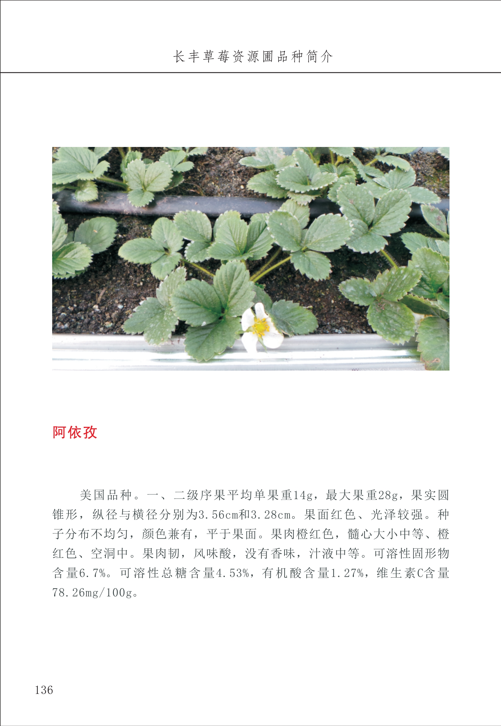 長(cháng)丰农技中心2_36.jpg