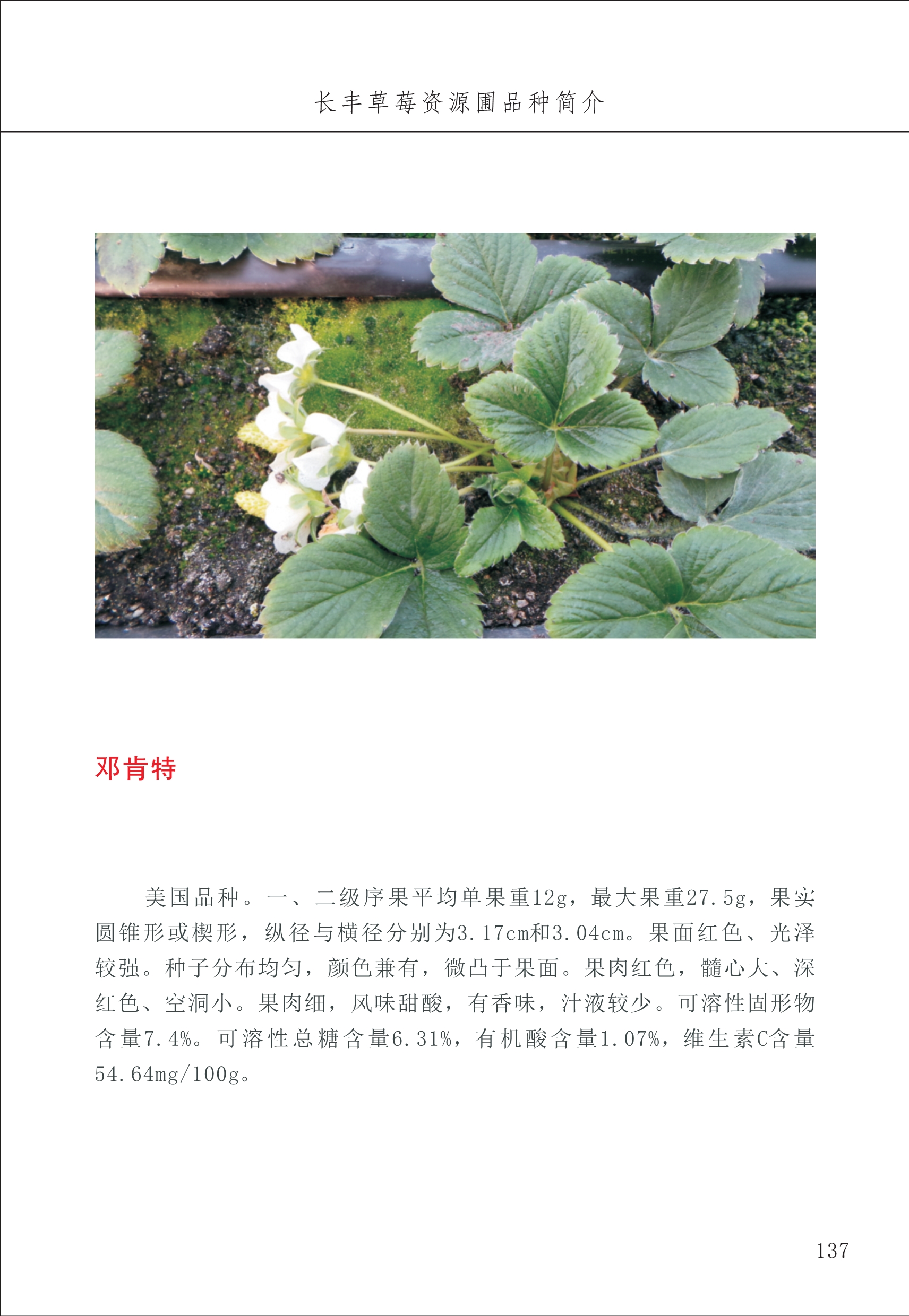 長(cháng)丰农技中心2_37.jpg