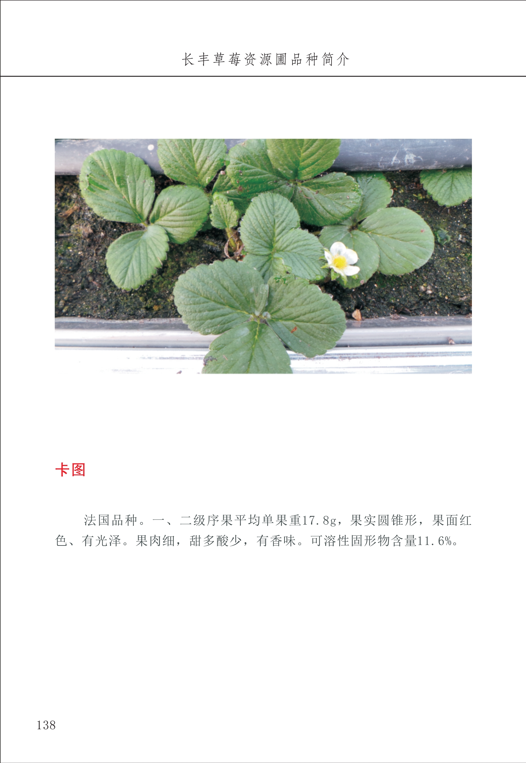 長(cháng)丰农技中心2_38.jpg