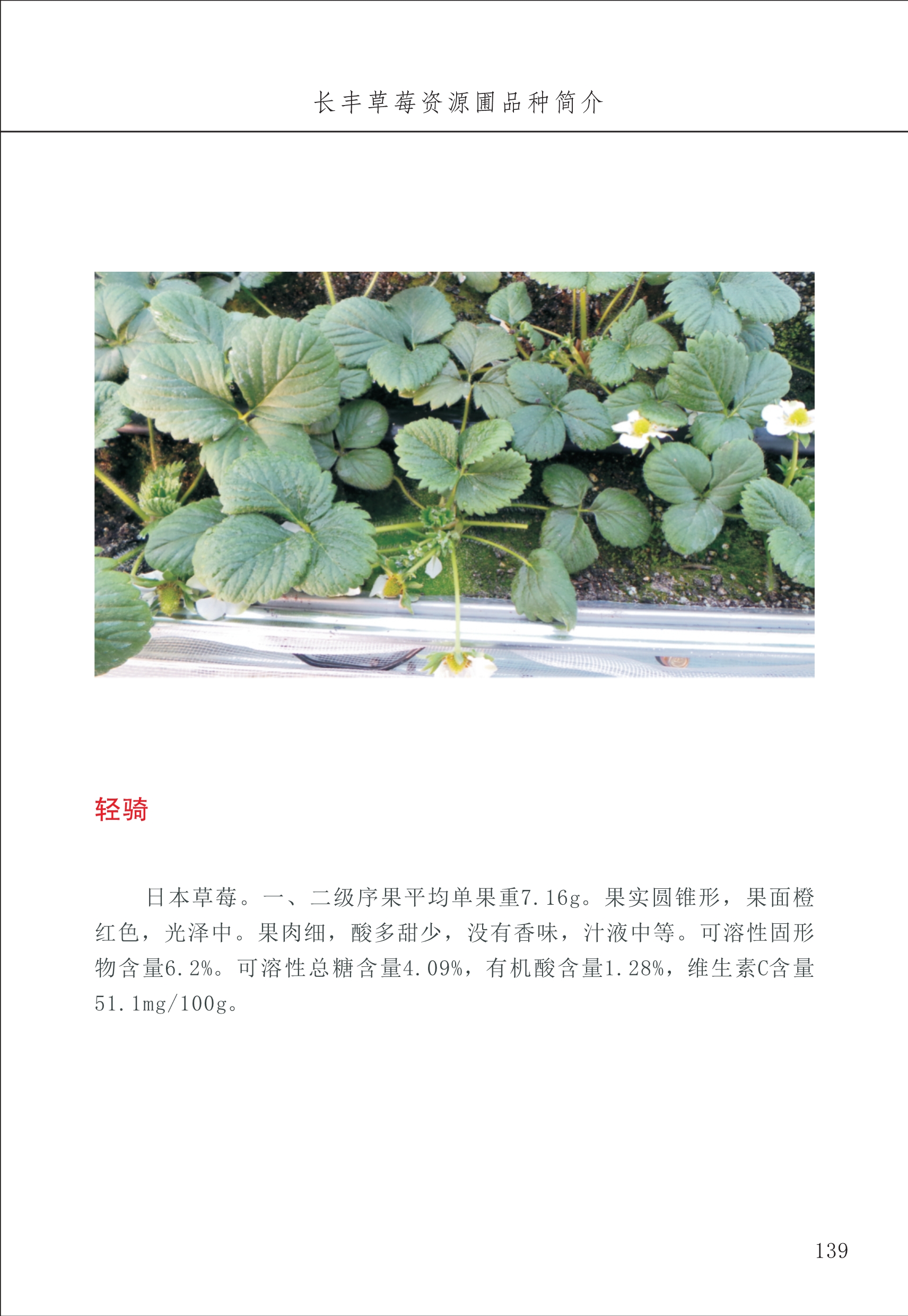 長(cháng)丰农技中心2_39.jpg