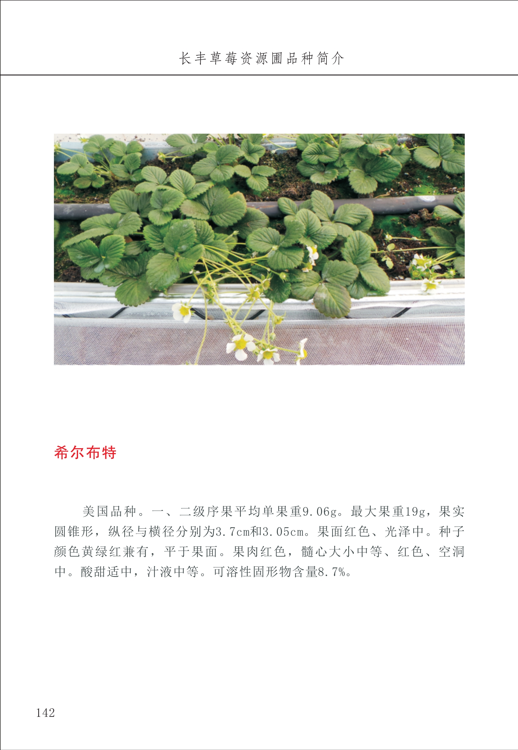 長(cháng)丰农技中心2_42.jpg