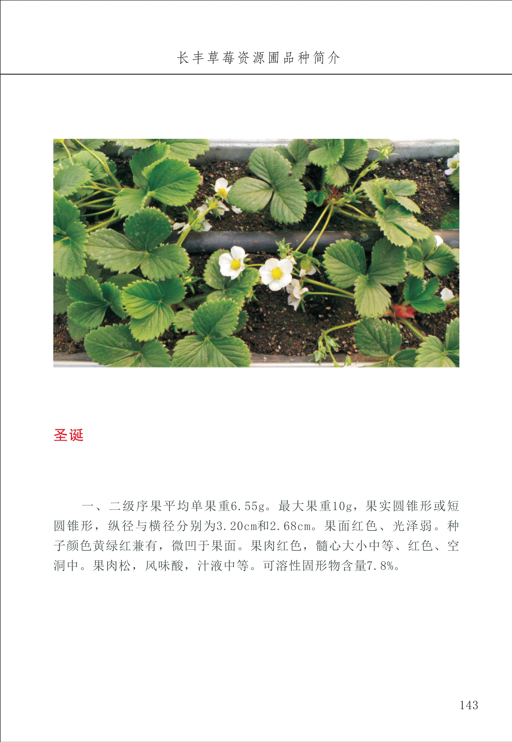 長(cháng)丰农技中心2_43.jpg