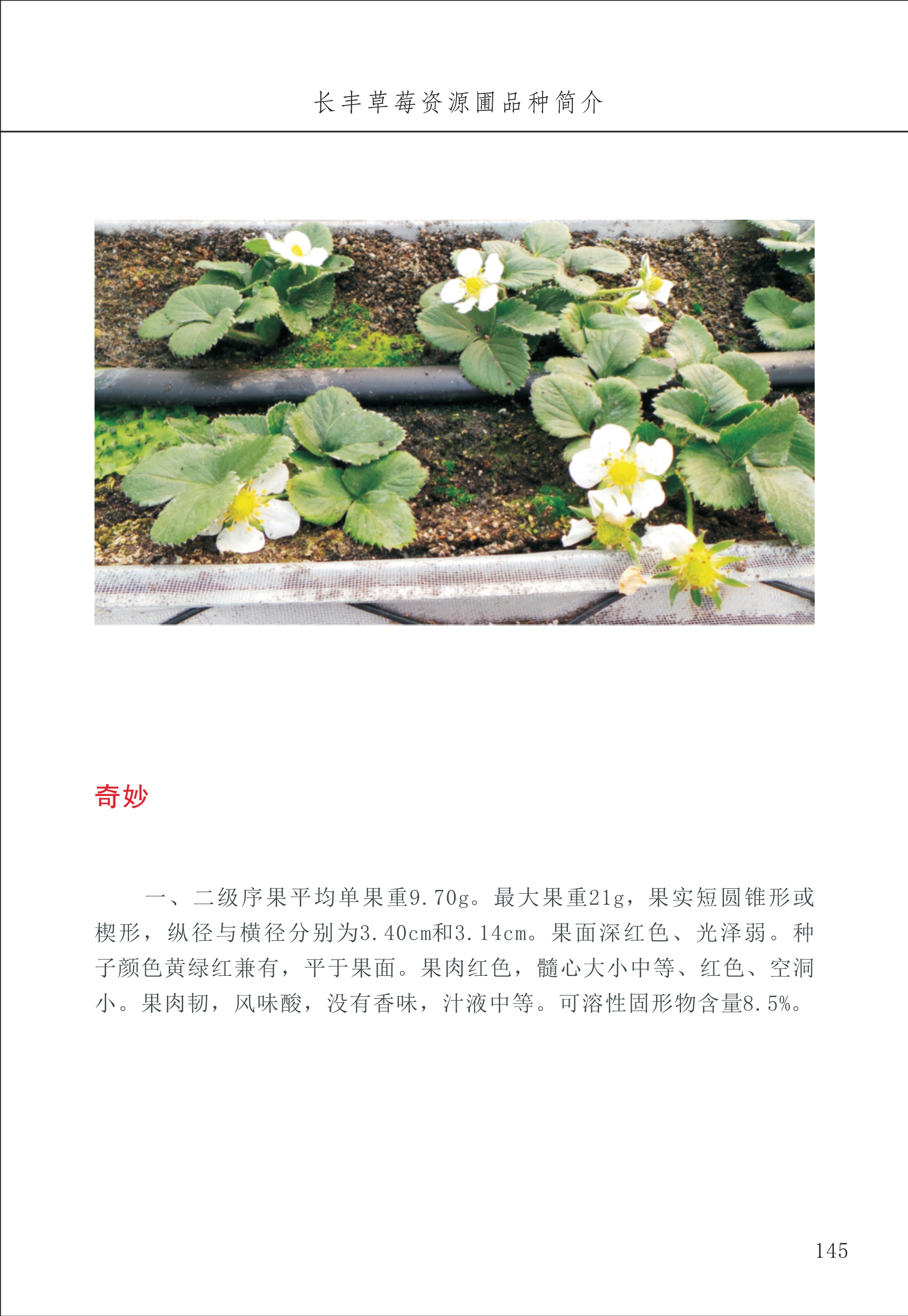 長(cháng)丰农技中心2_45.jpg