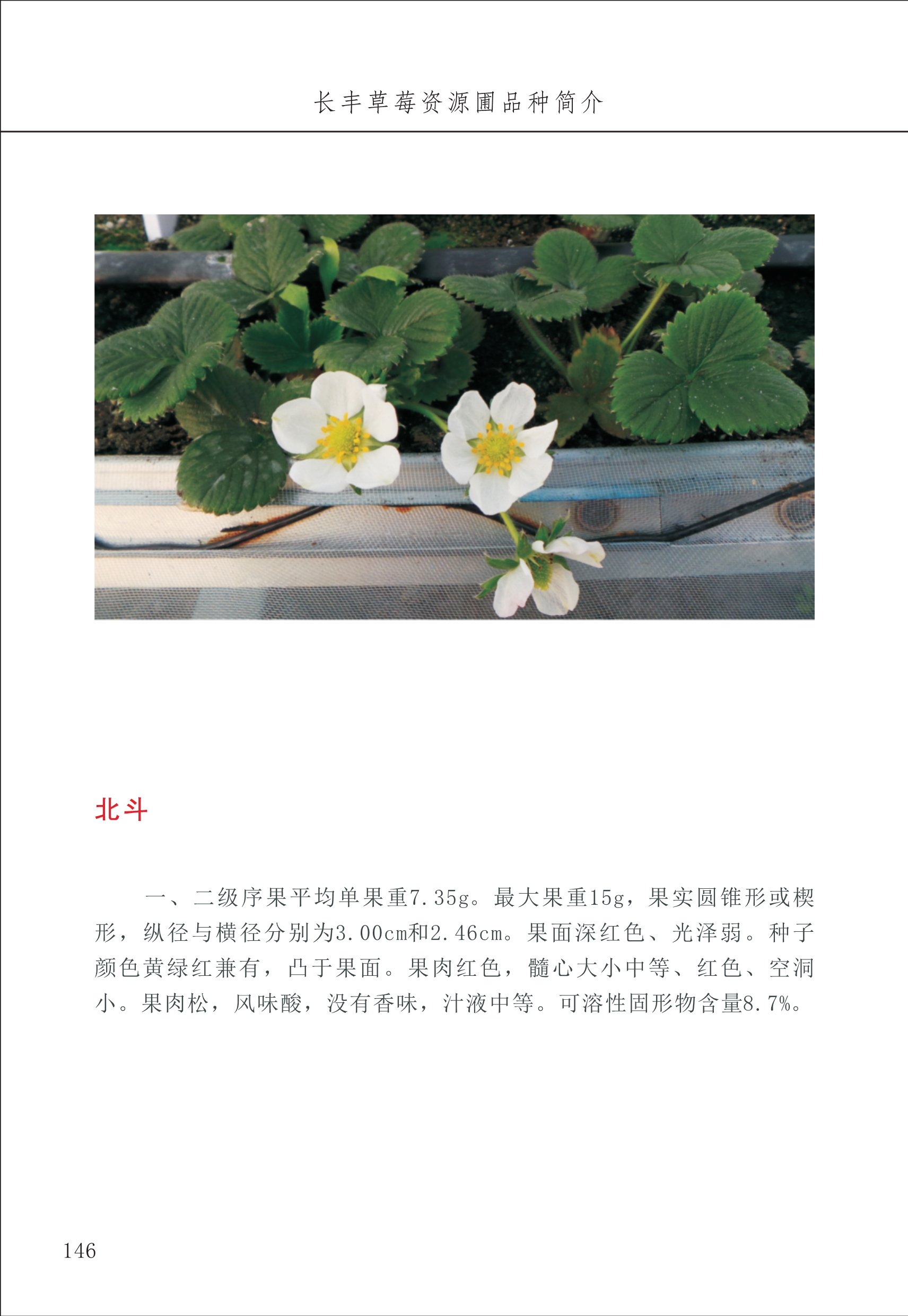 長(cháng)丰农技中心2_46.jpg