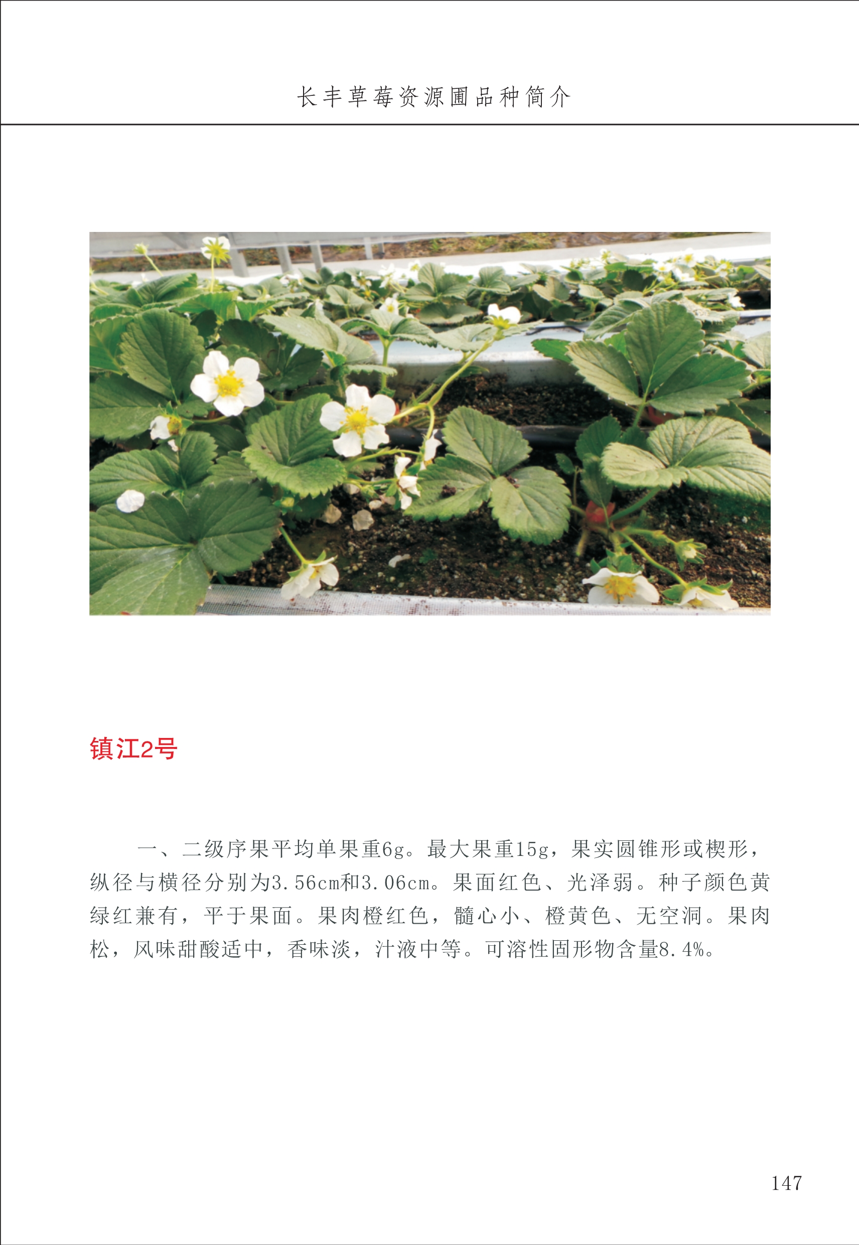 長(cháng)丰农技中心2_47.jpg