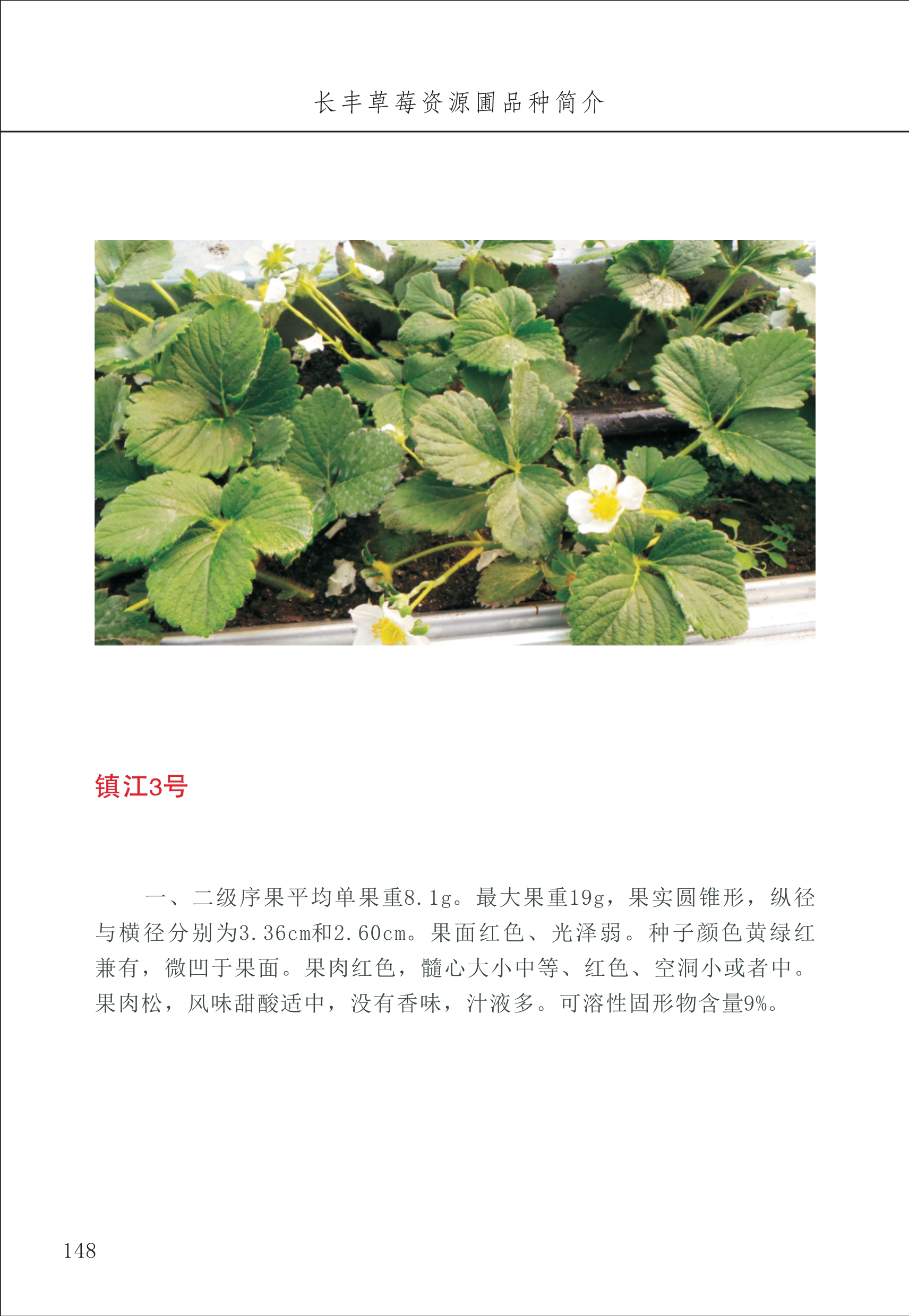長(cháng)丰农技中心2_48.jpg