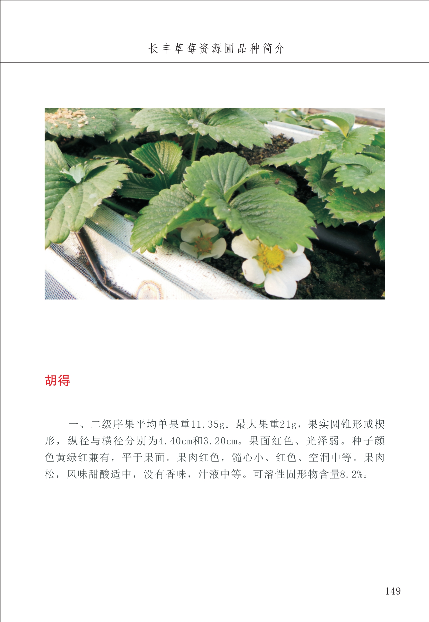 長(cháng)丰农技中心2_49.jpg