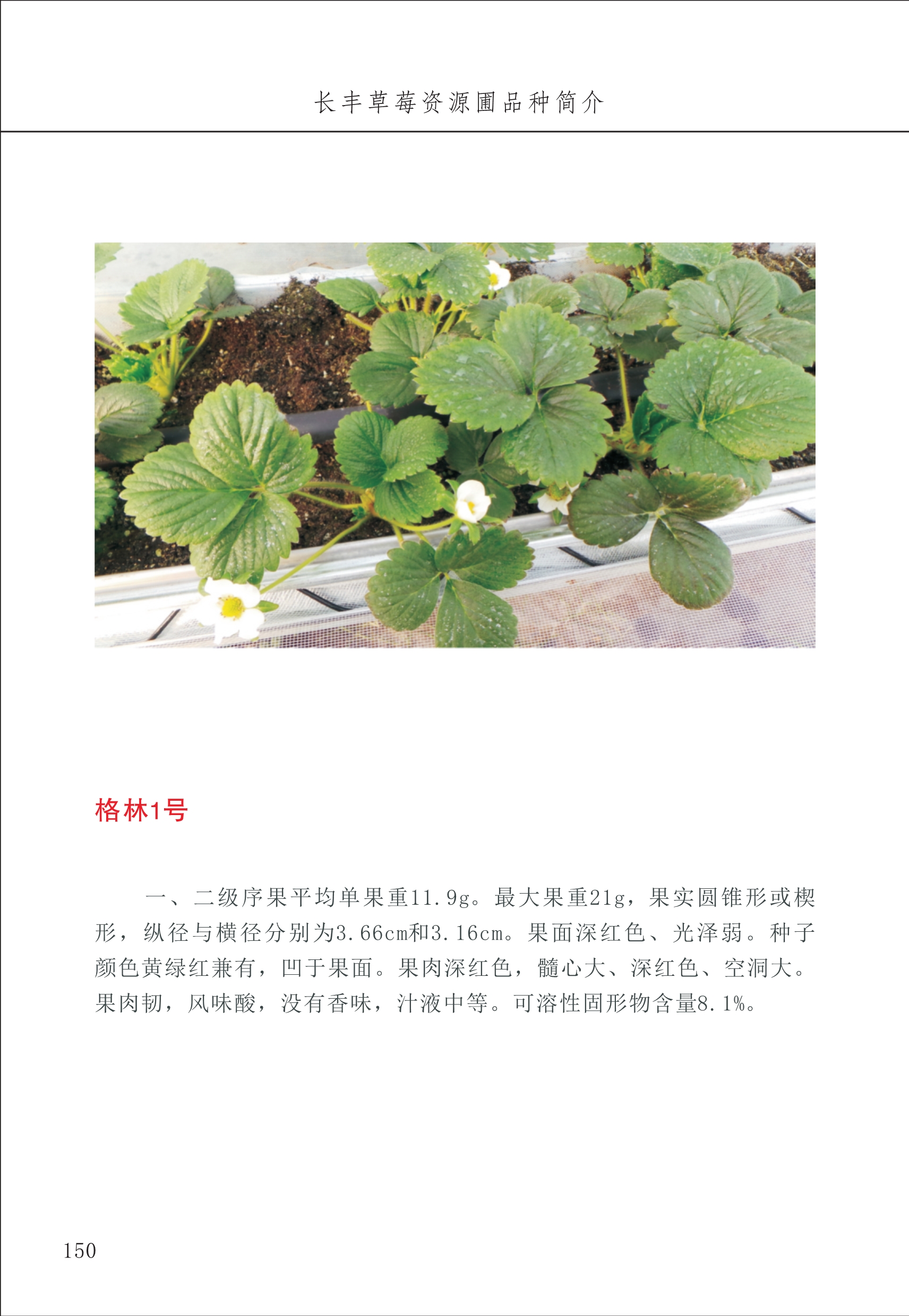 長(cháng)丰农技中心2_50.jpg