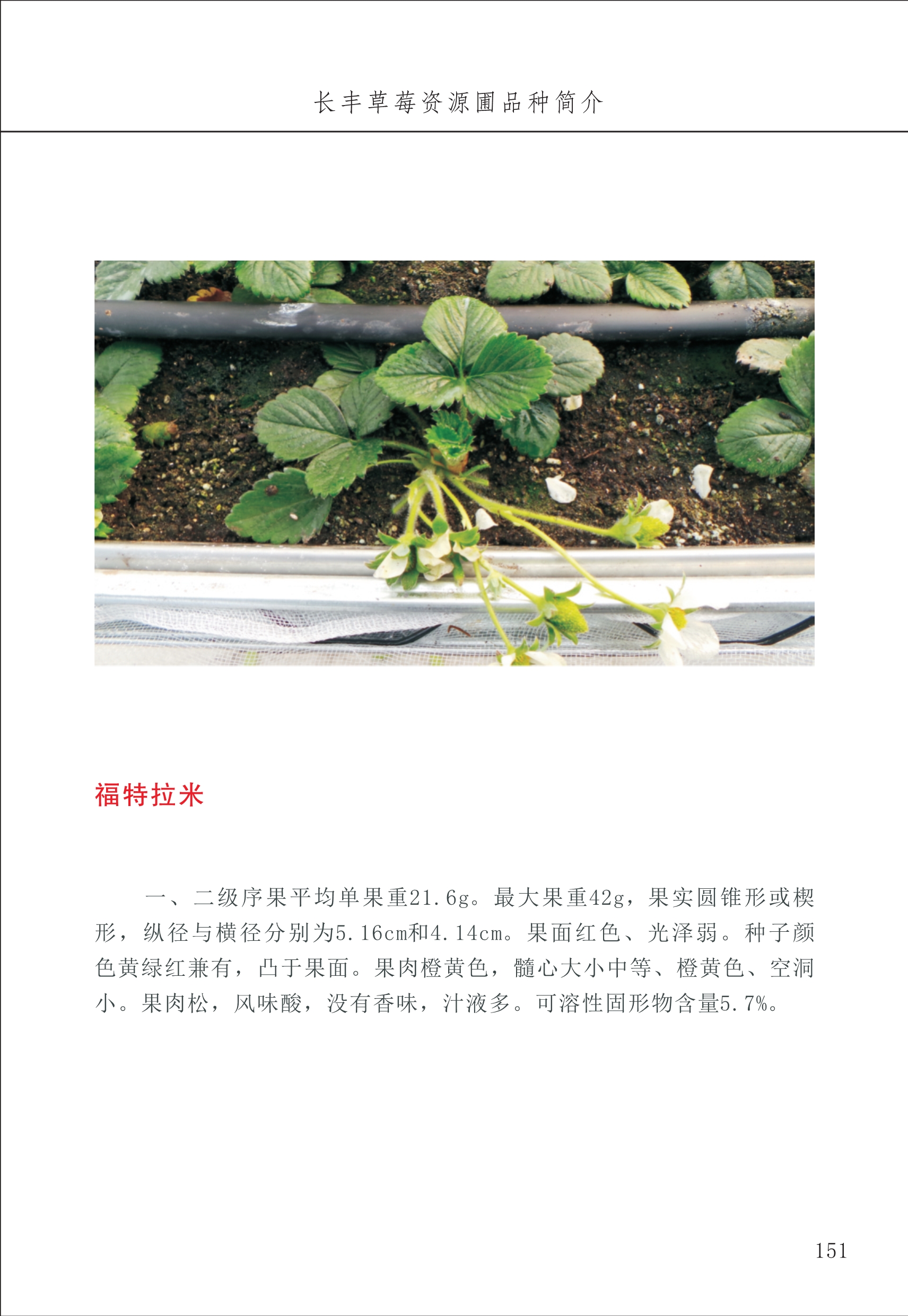 長(cháng)丰农技中心2_51.jpg