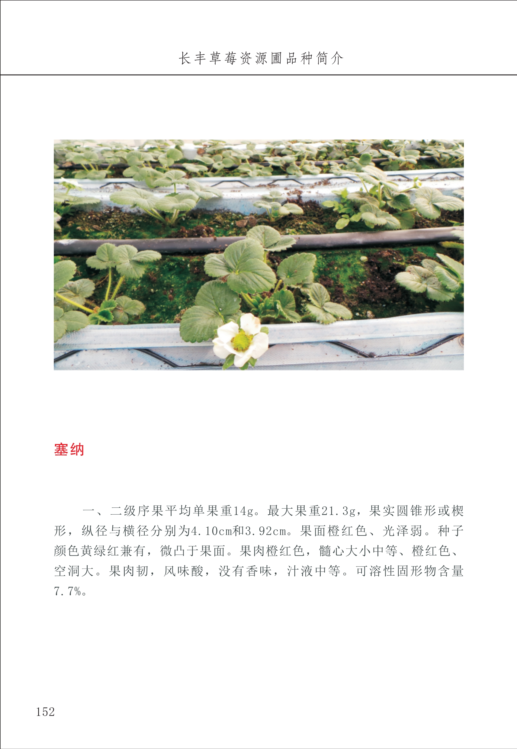 長(cháng)丰农技中心2_52.jpg