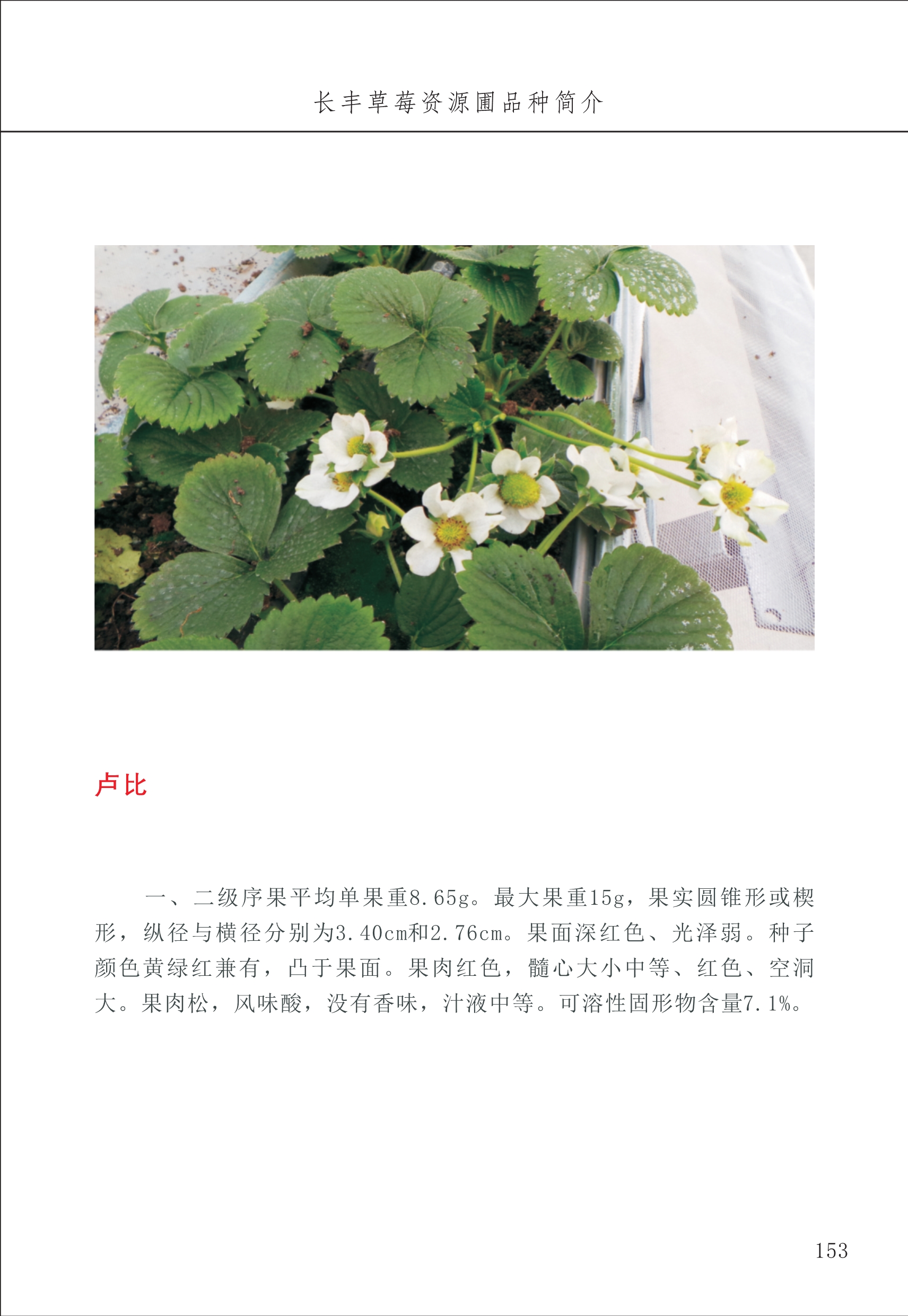 長(cháng)丰农技中心2_53.jpg